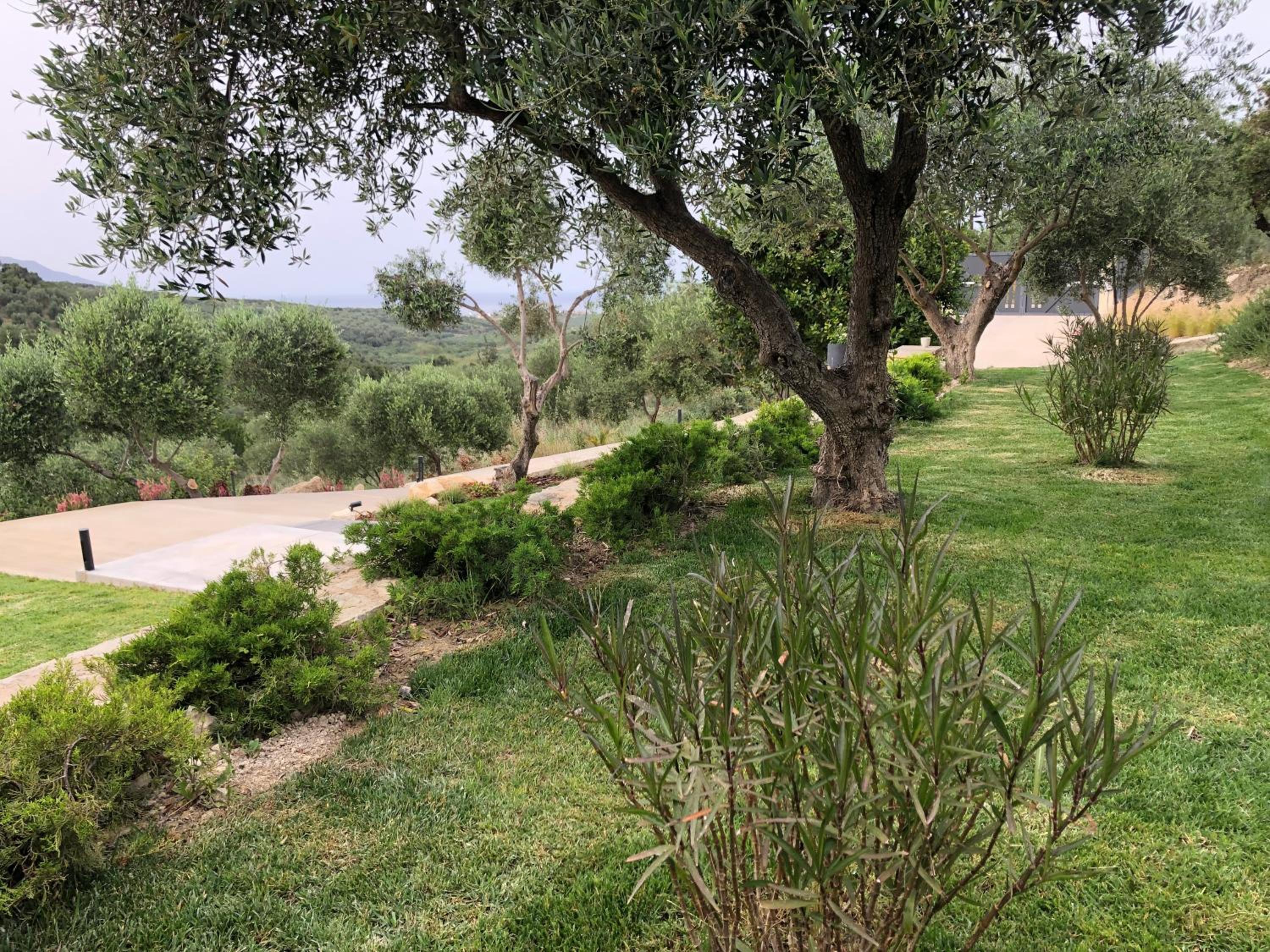 Villa Plai