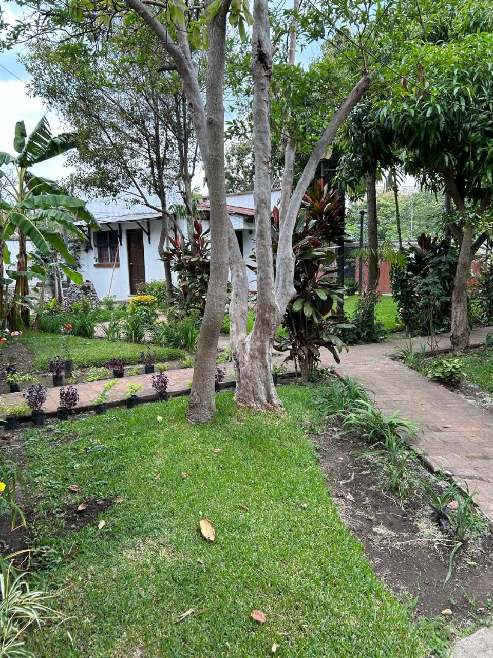 Photo 26