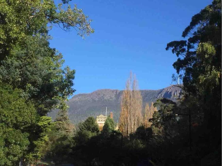 Tranquil Garden Cottage - South Hobart