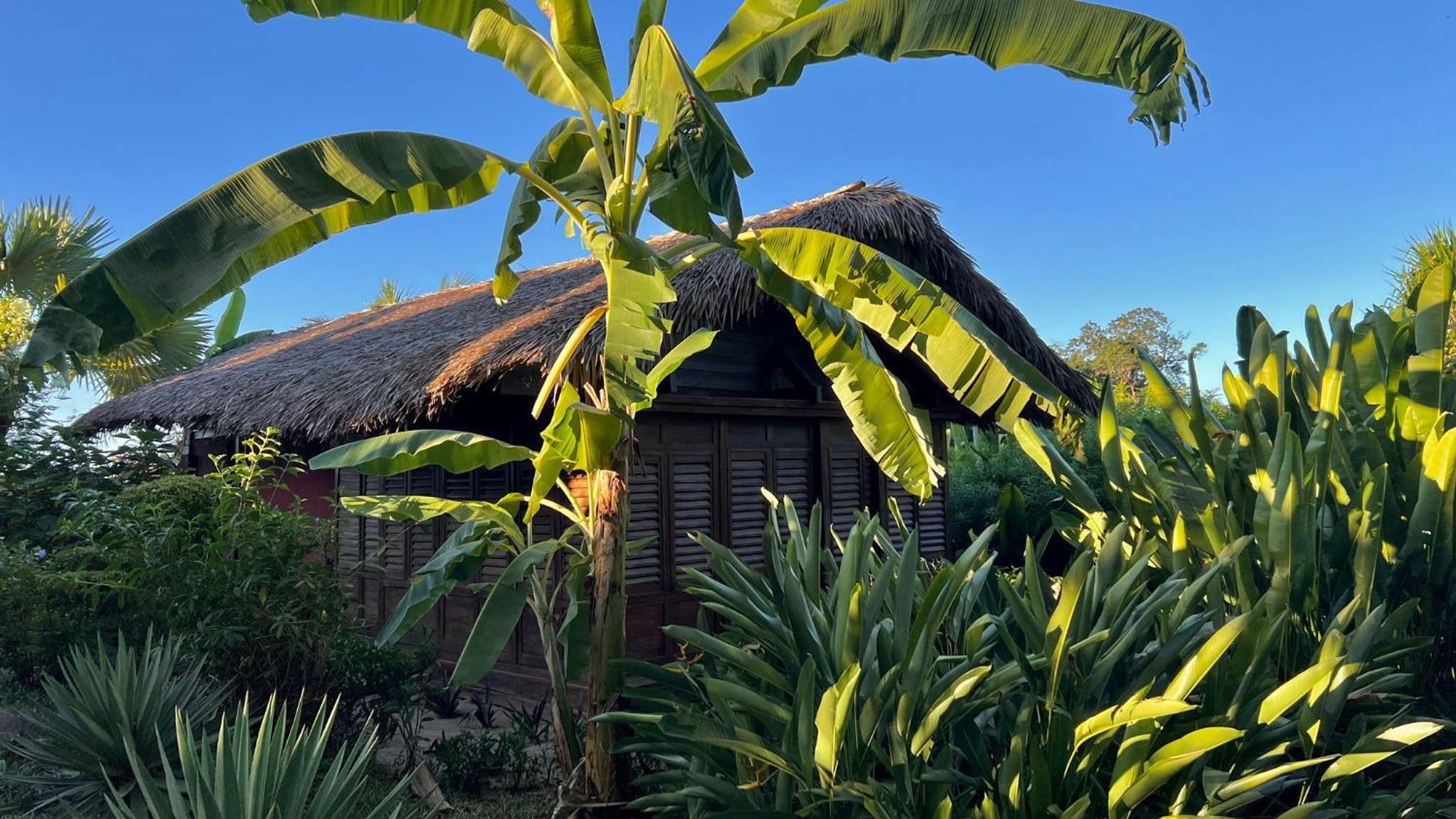 Manga Soa Lodge