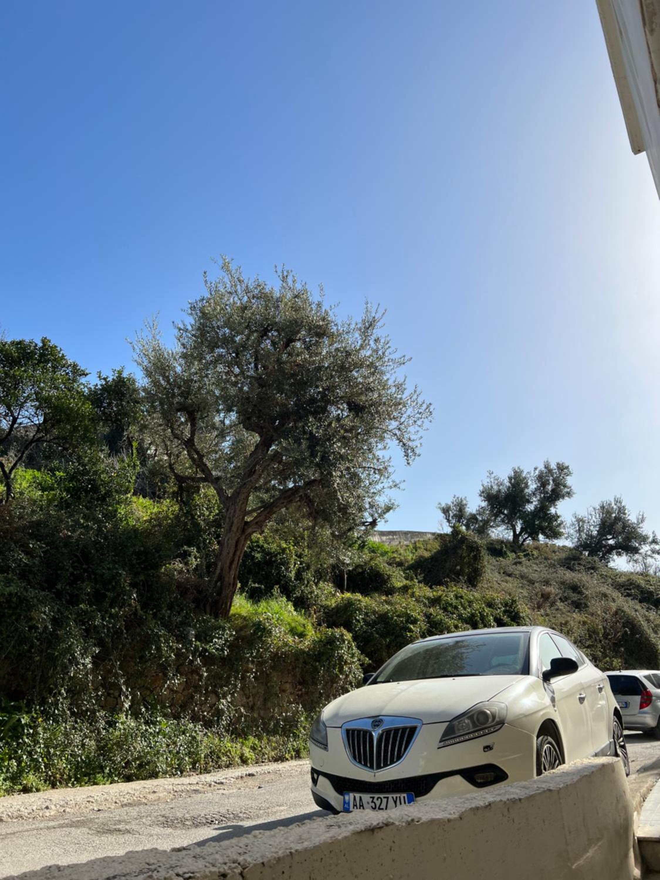 Olive Escape Studio