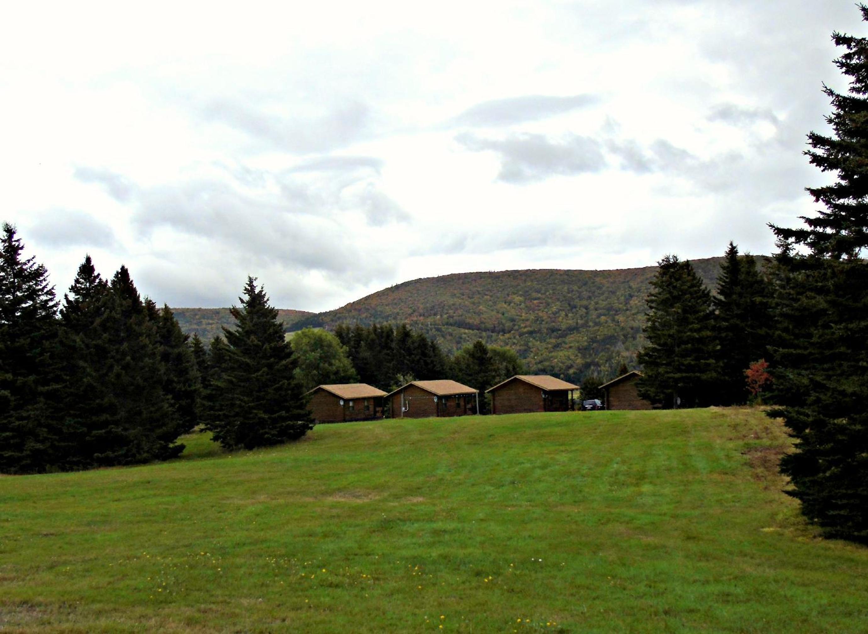 Cajun Cedar Log Cottages Ltd