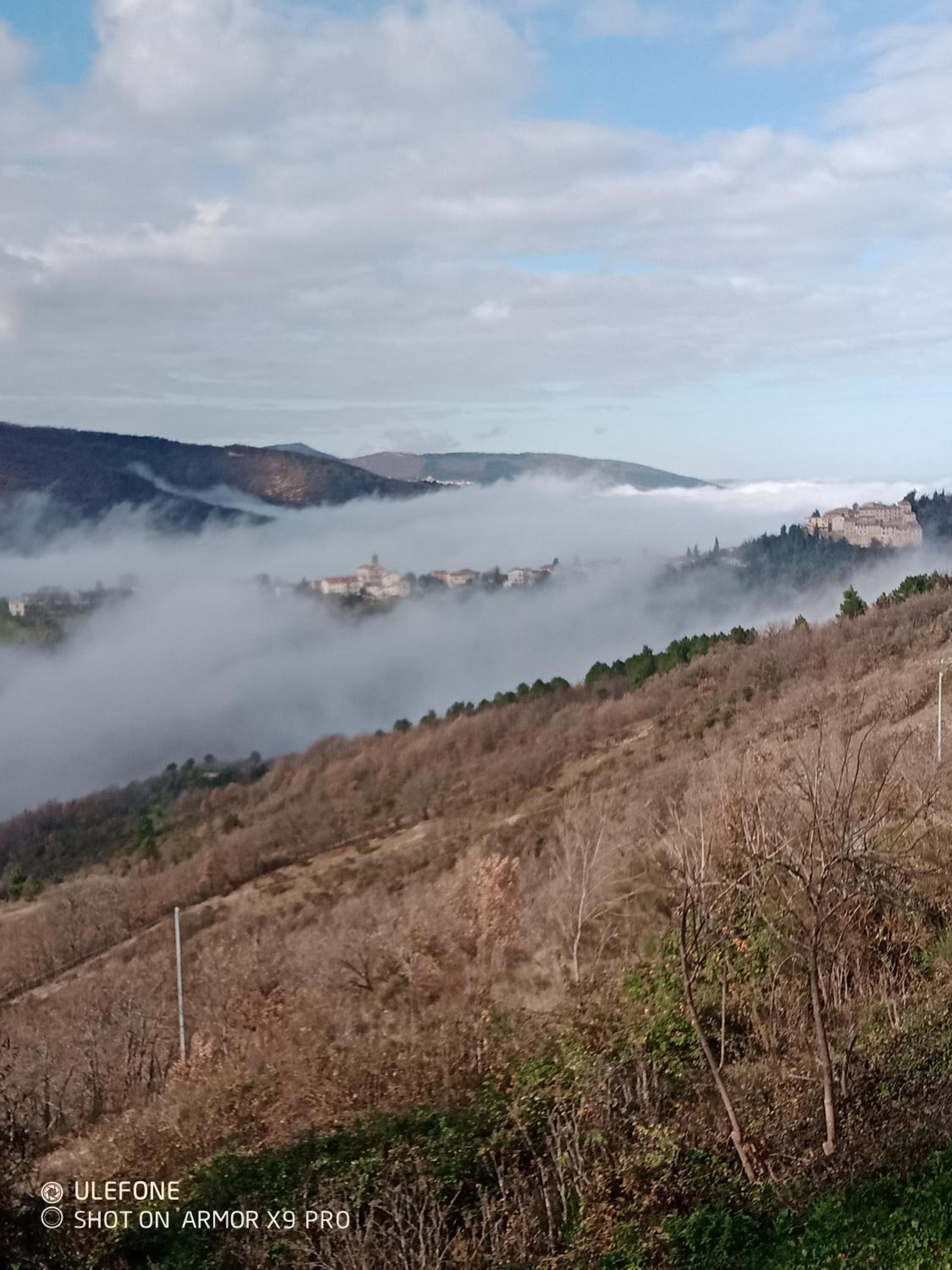 Agriturismo Becerca Vegan view 3