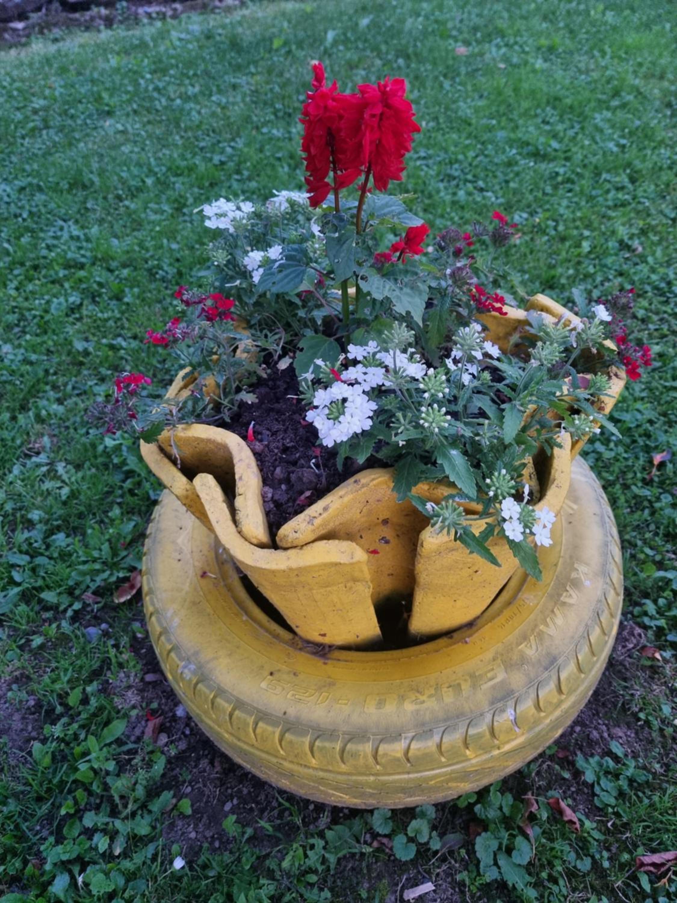 Photo 21