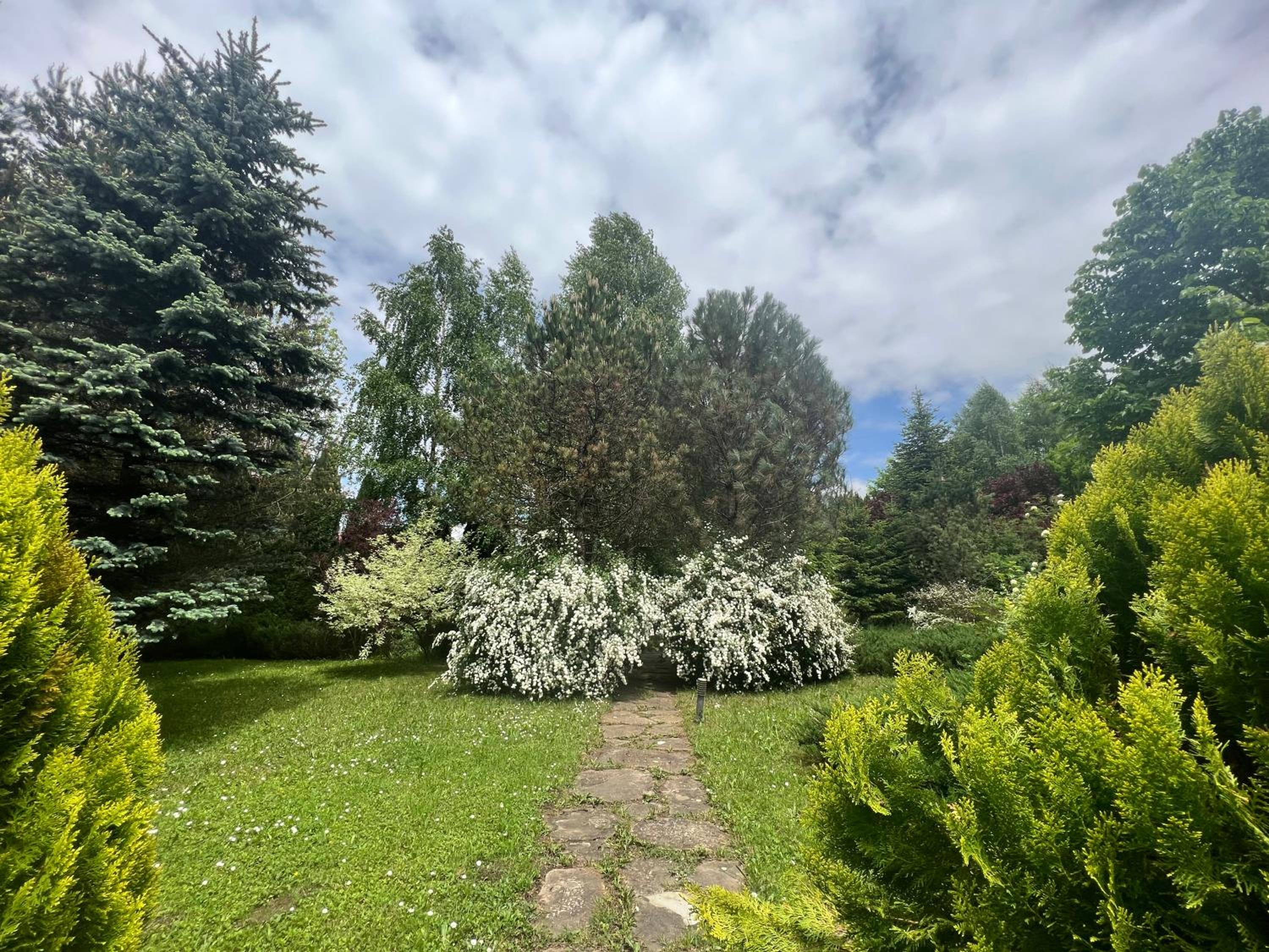 Wine Cellar Villa with Beautiful Garden in Sinaia - Busteni view 2