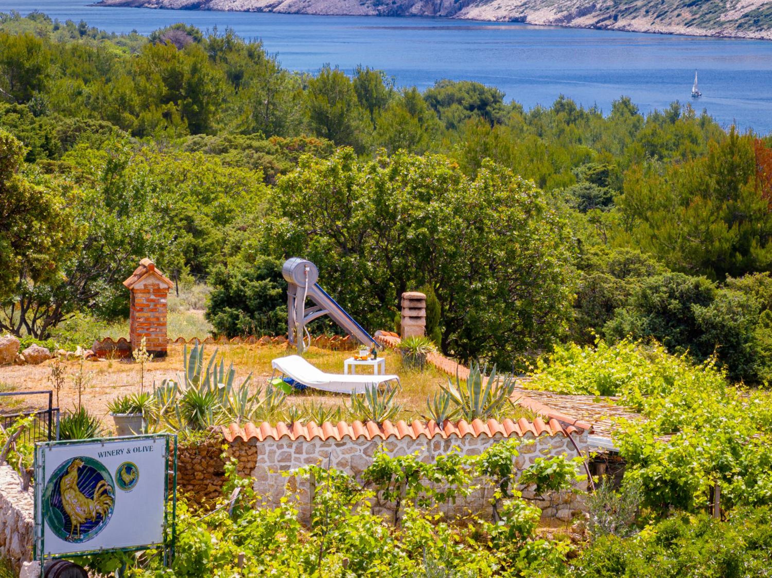 Private Vineyard House