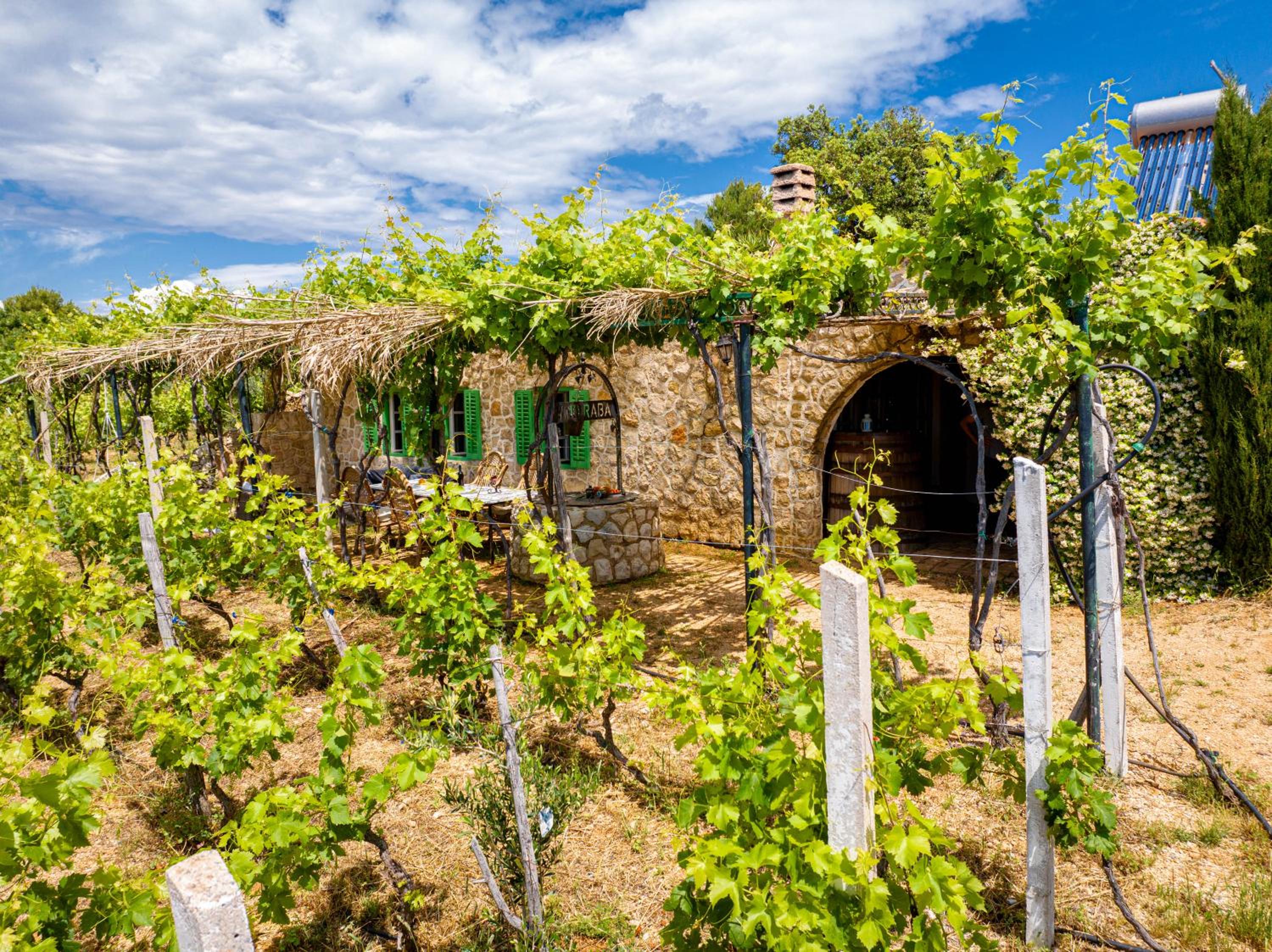 Private Vineyard House en Banjol