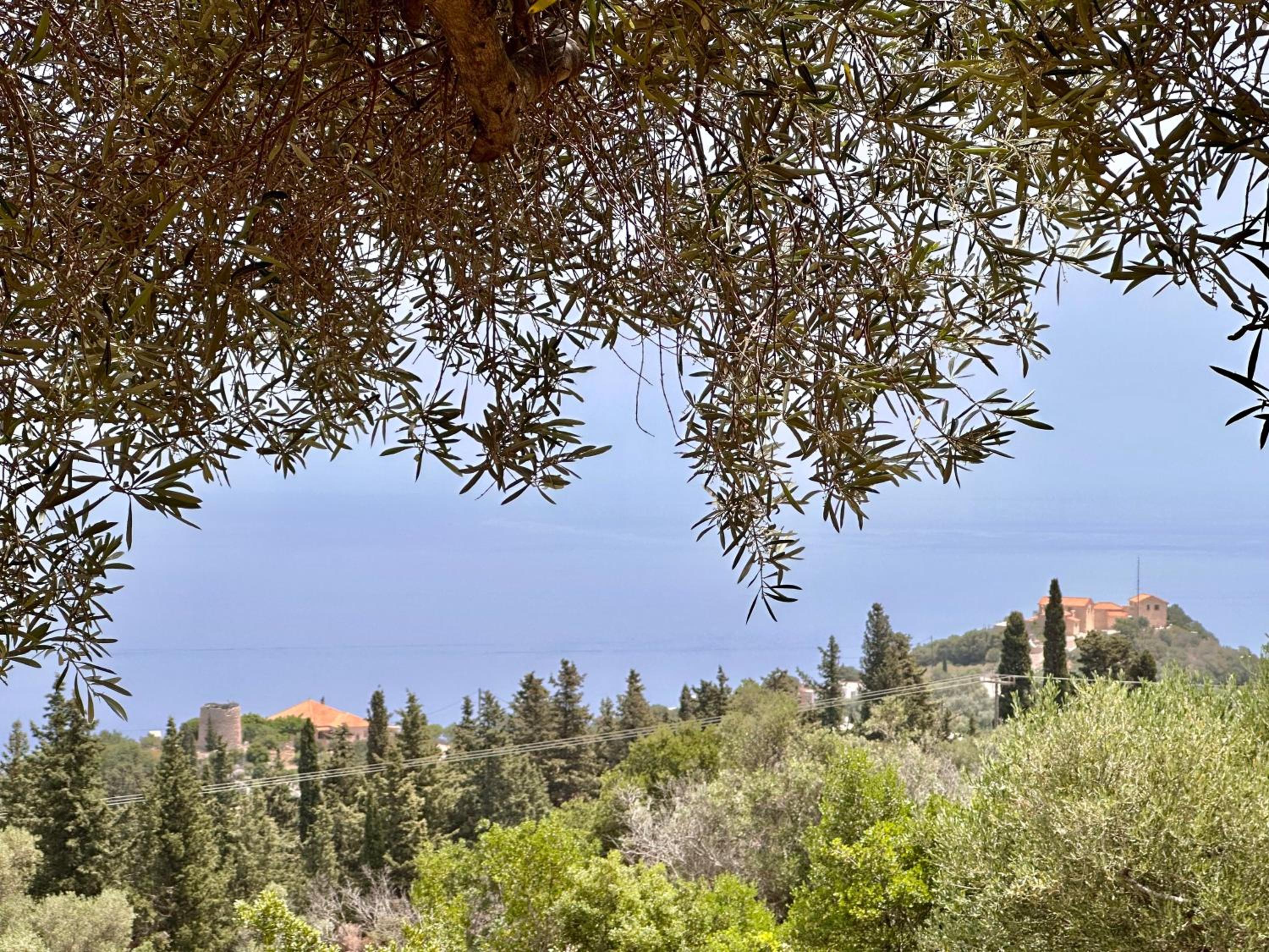 Trikoupis Villa