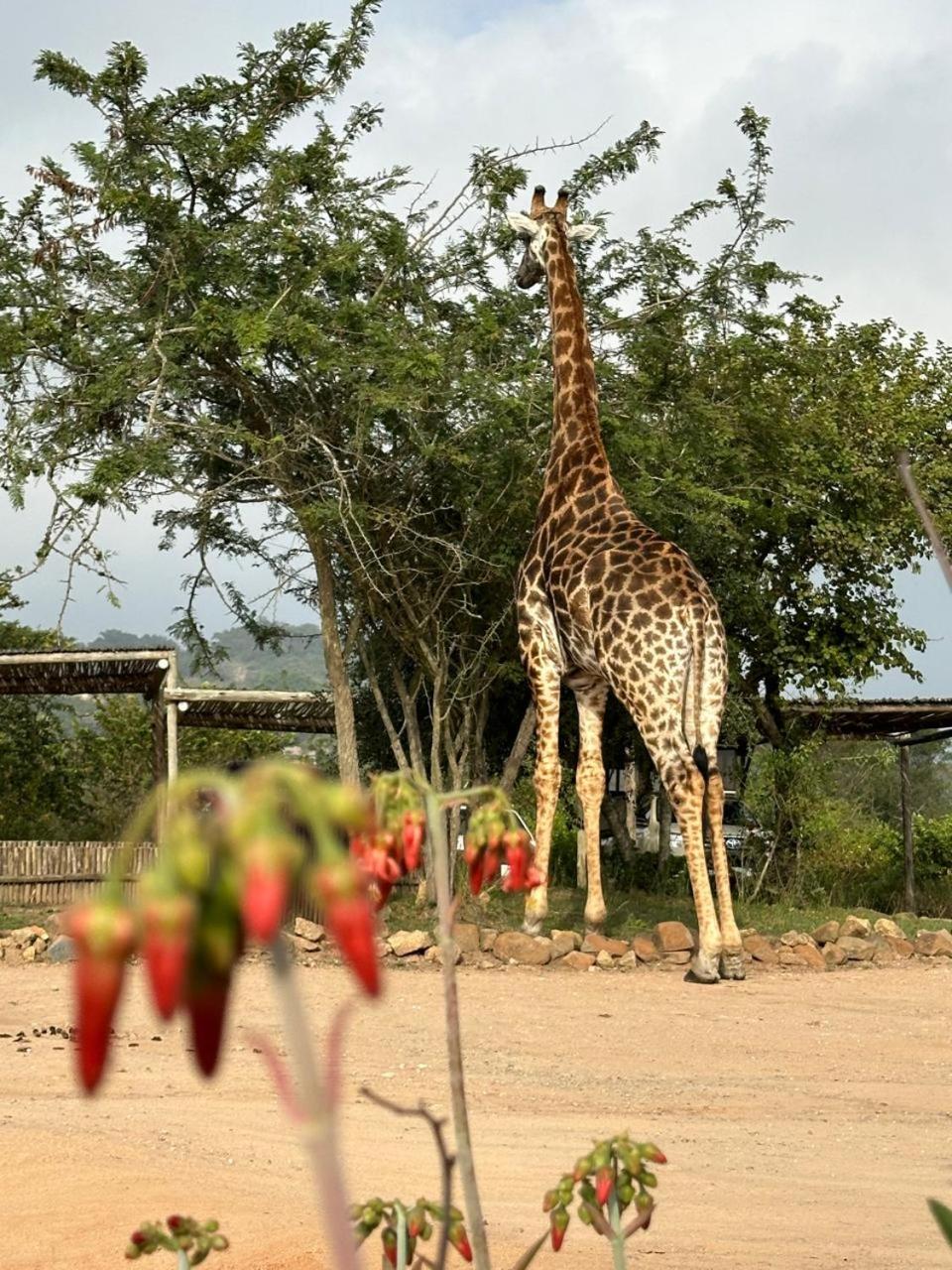 Ndhula Luxury Tented Lodge