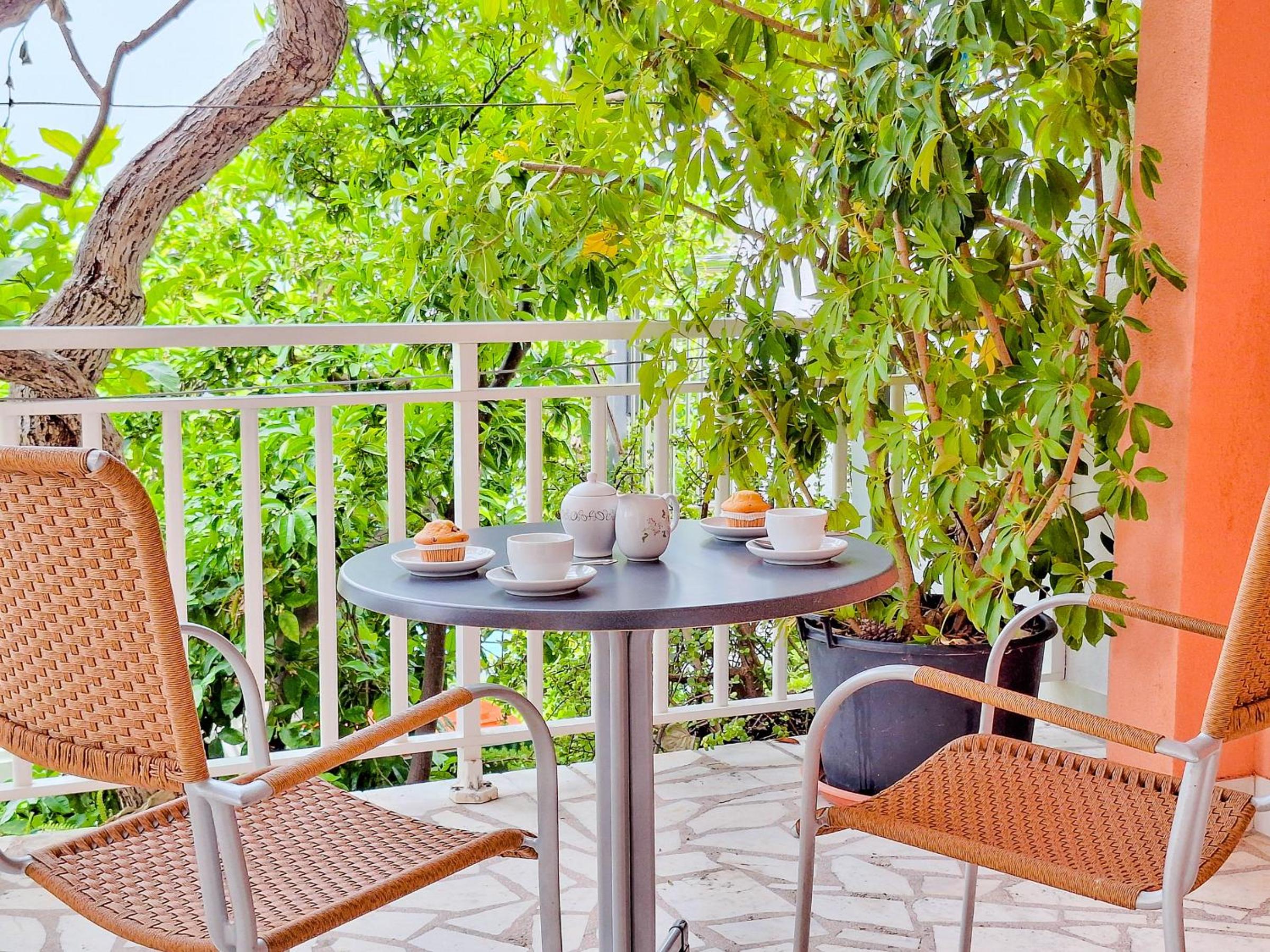 Lemon tree