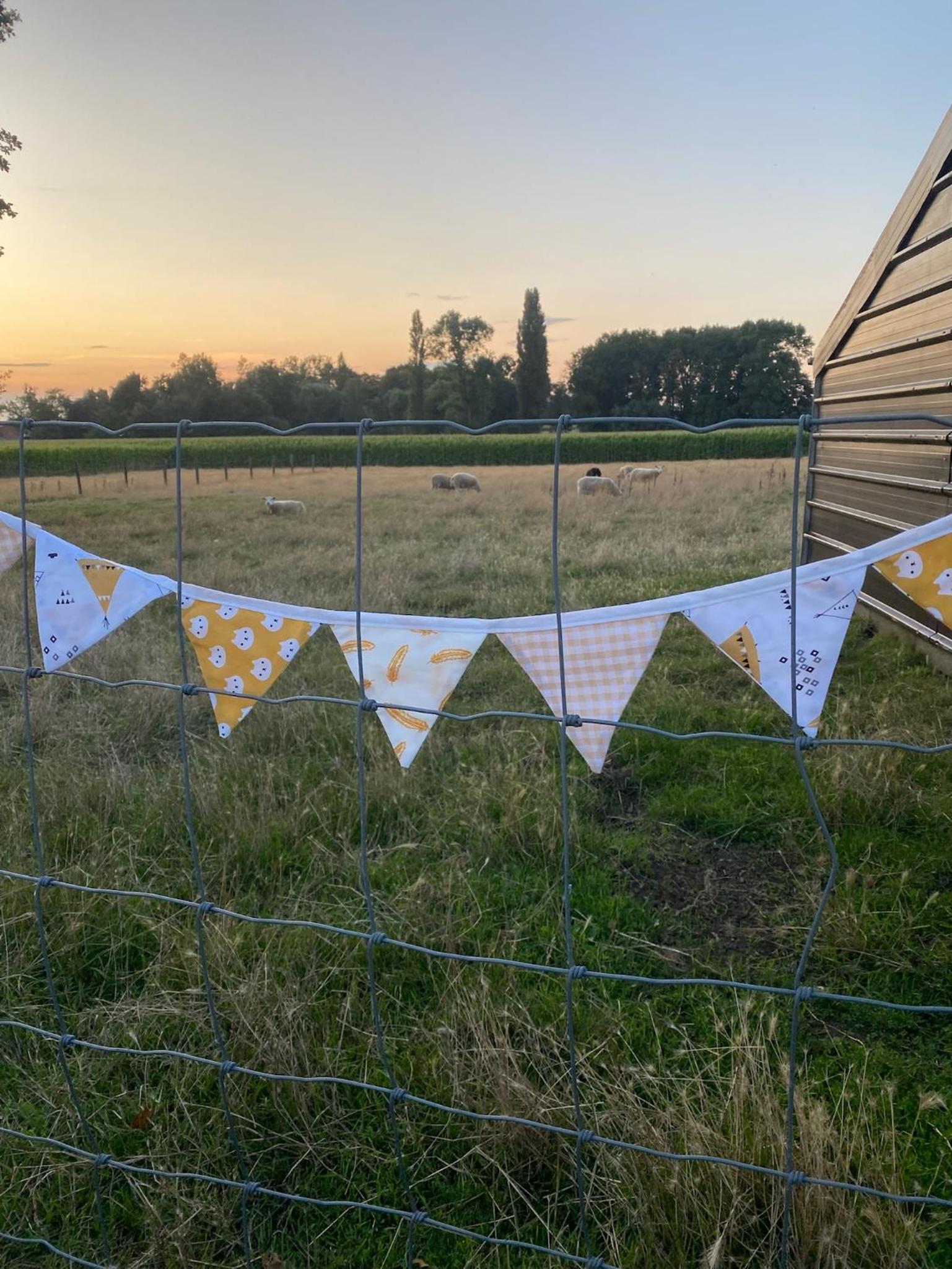 Glamping Mangoeste