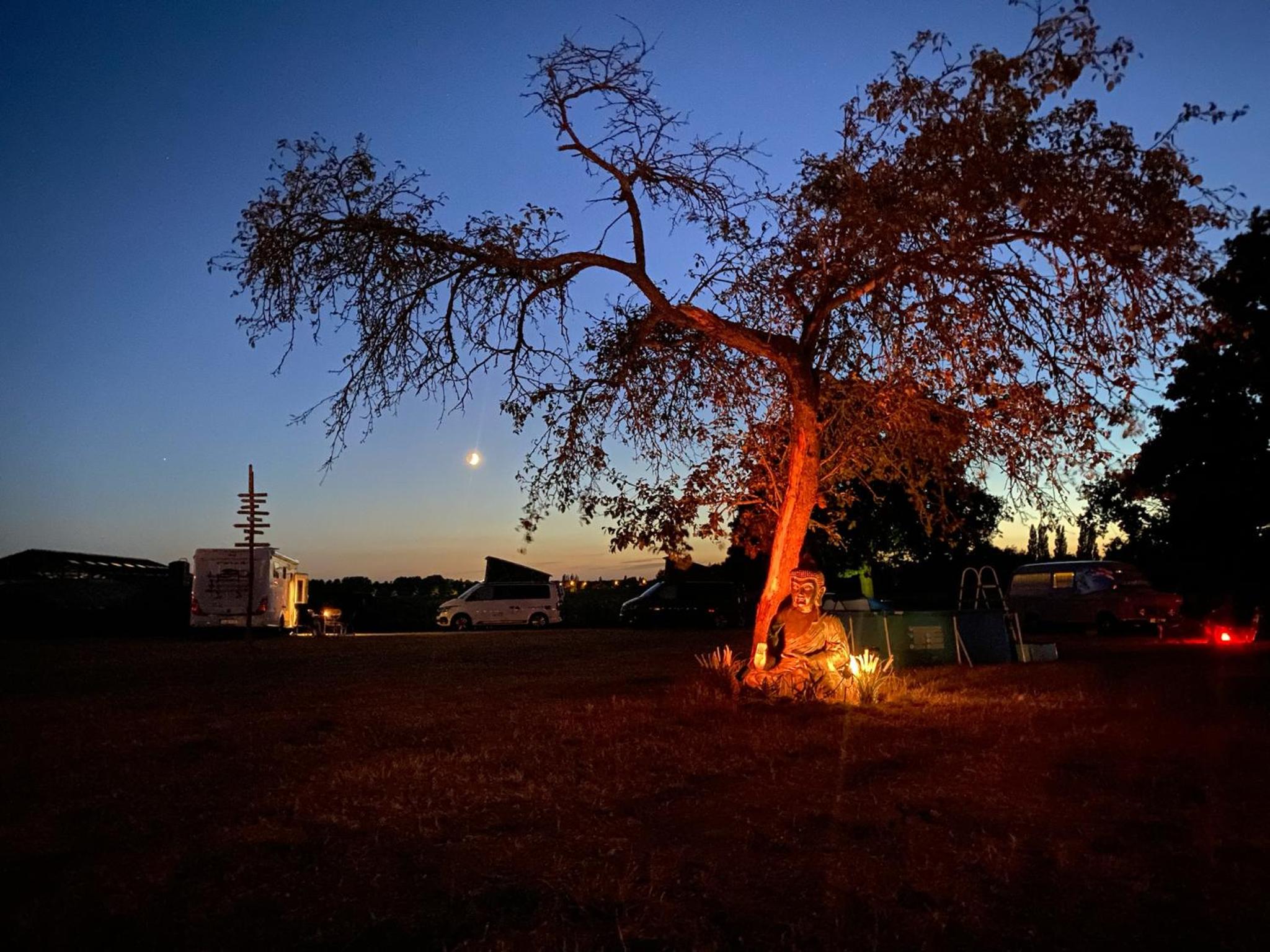 Glamping Mangoeste