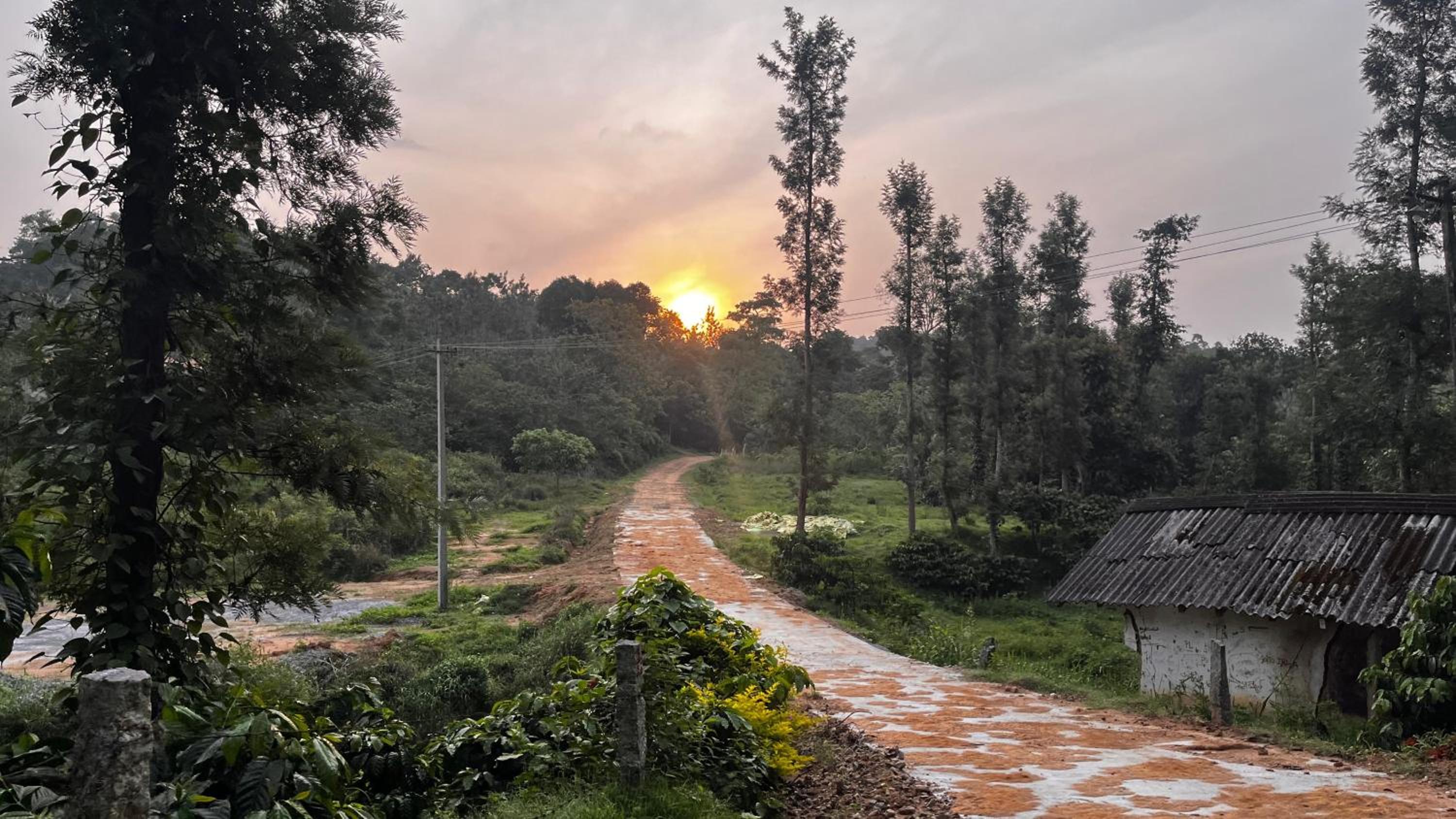 Lara Homestay view 3