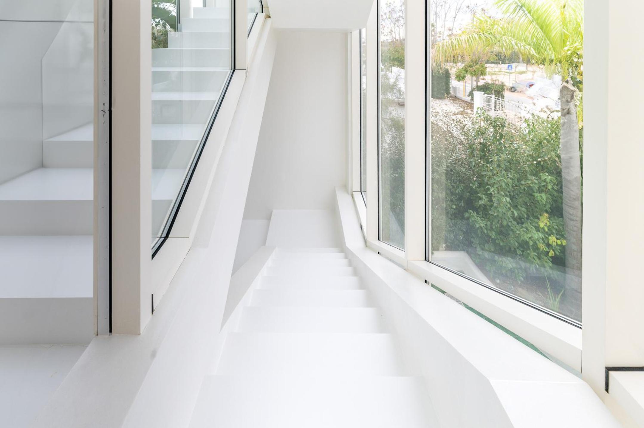 Photo 81