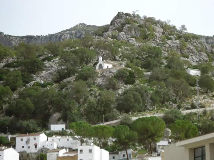 Photo 31