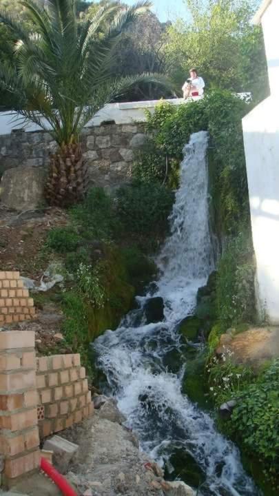 Photo 29