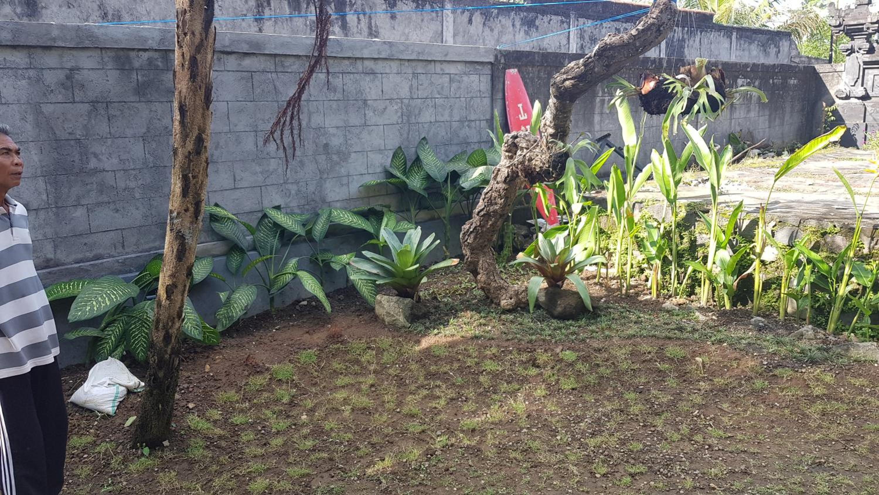 Ari Guest House view 5
