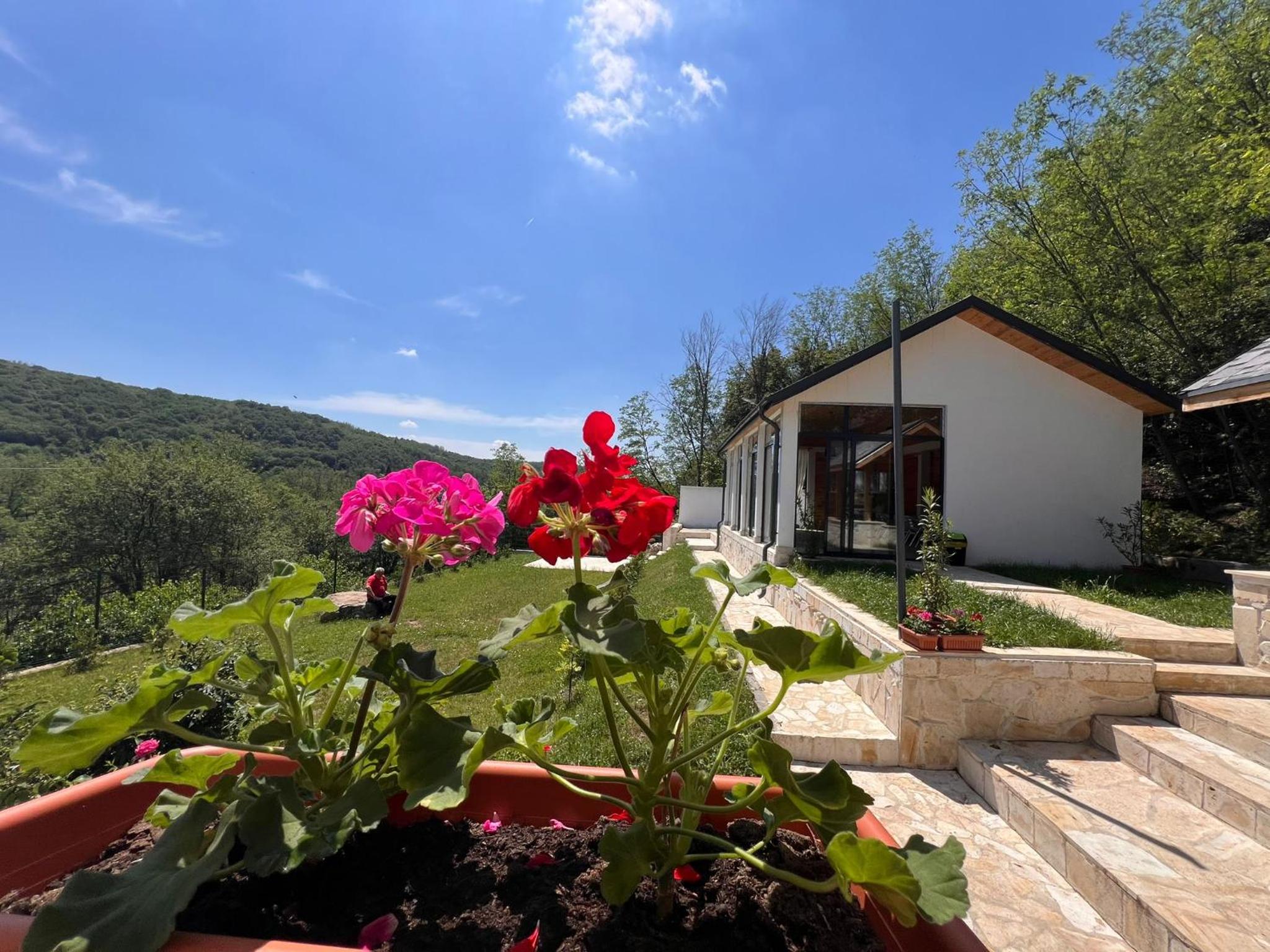 Casa Maria Sarata Monteoru view 5