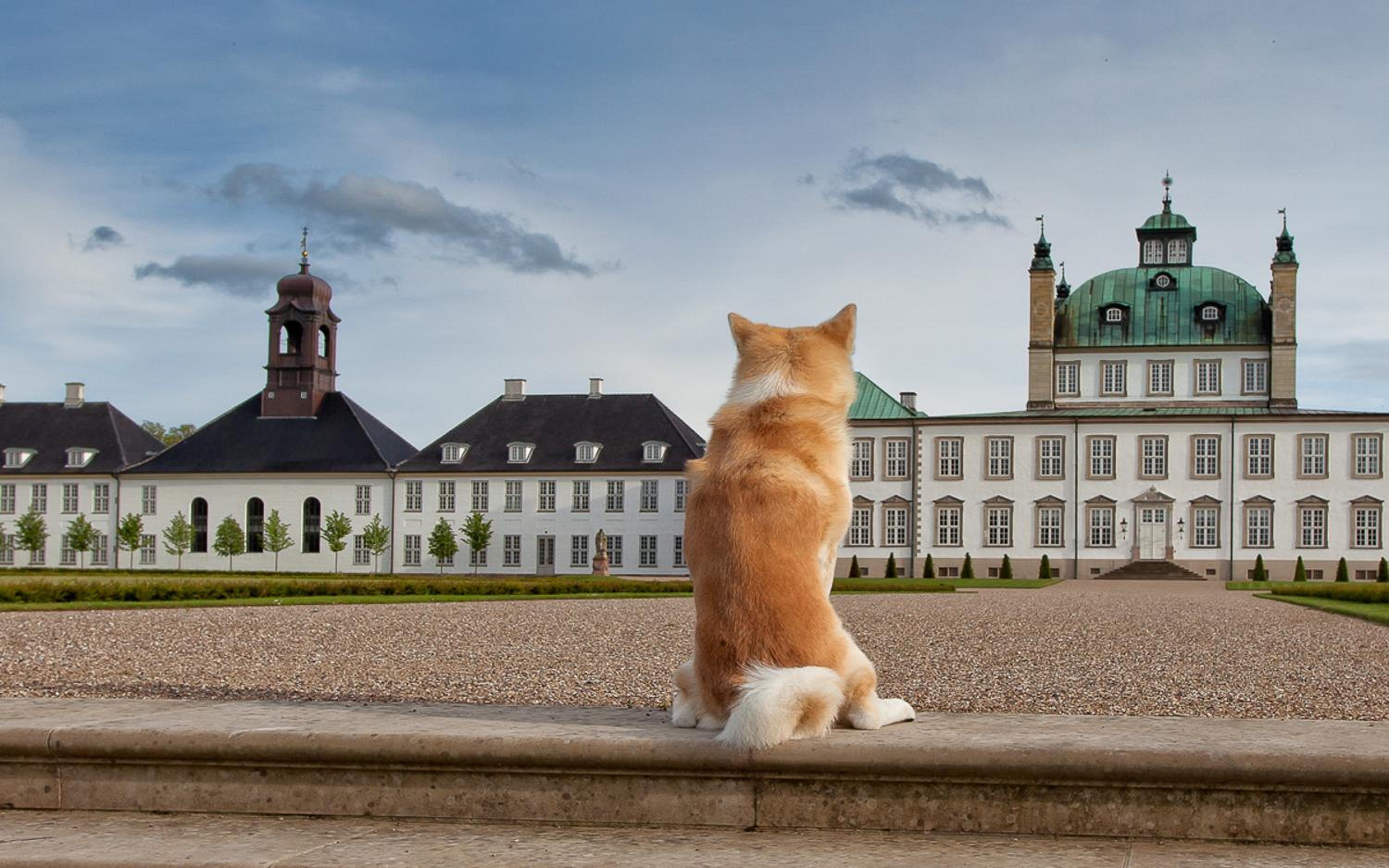 Fredensborg Vandrerhjem, i Kongens baghave
