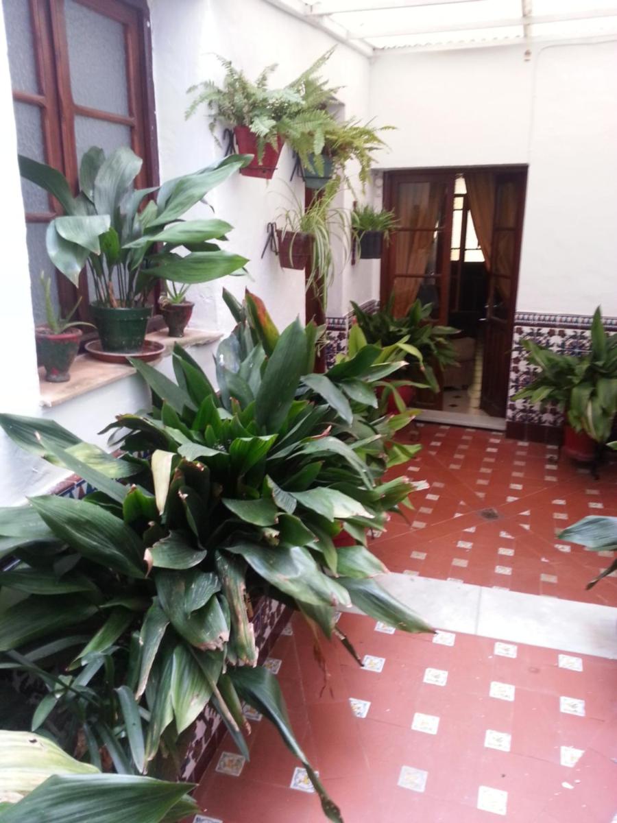 Photo 25
