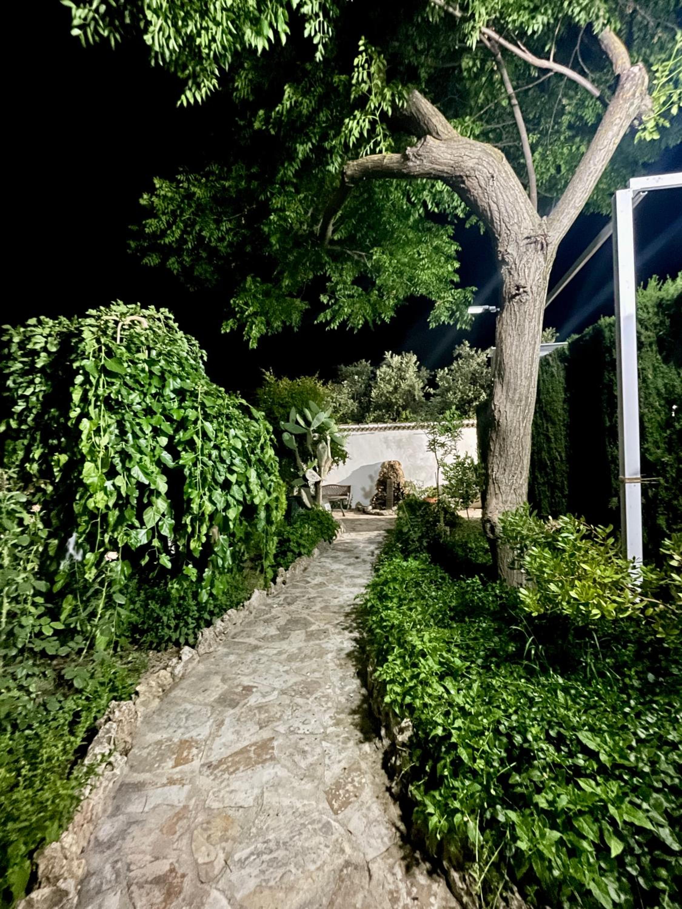Villa Jardín