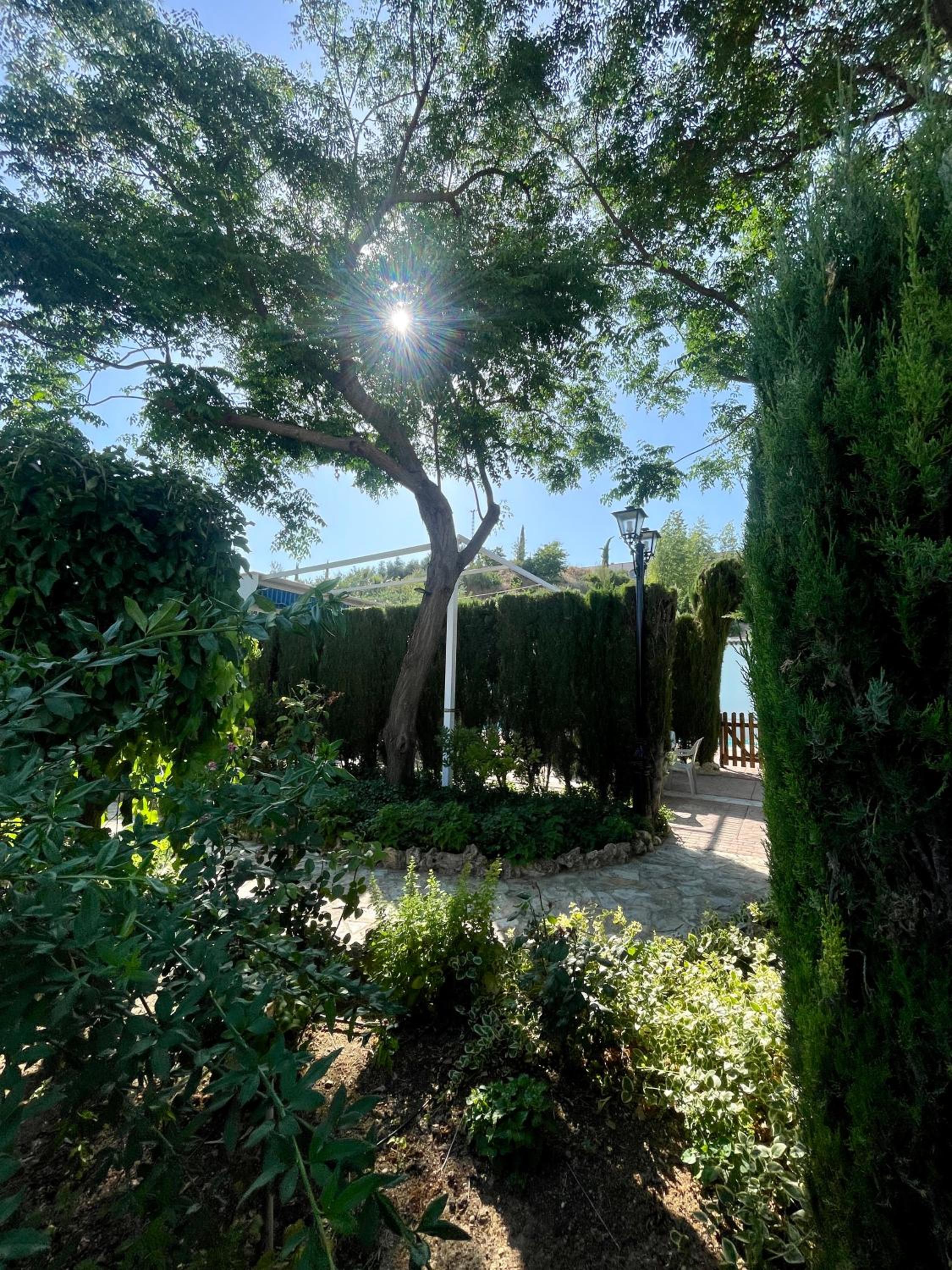 Villa Jardín