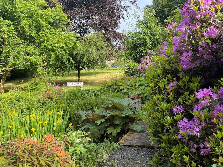 Linden Lodge at Lough Sillan House - Dog-friendly - Adults only view 3