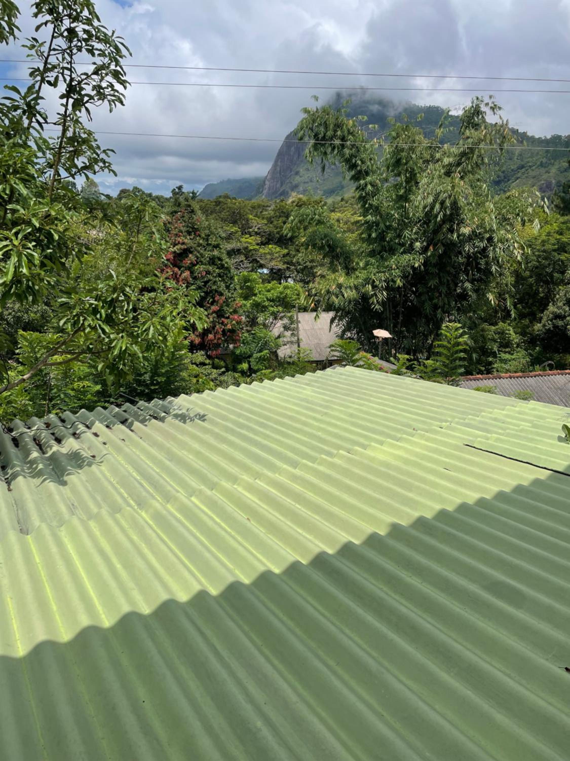 roof