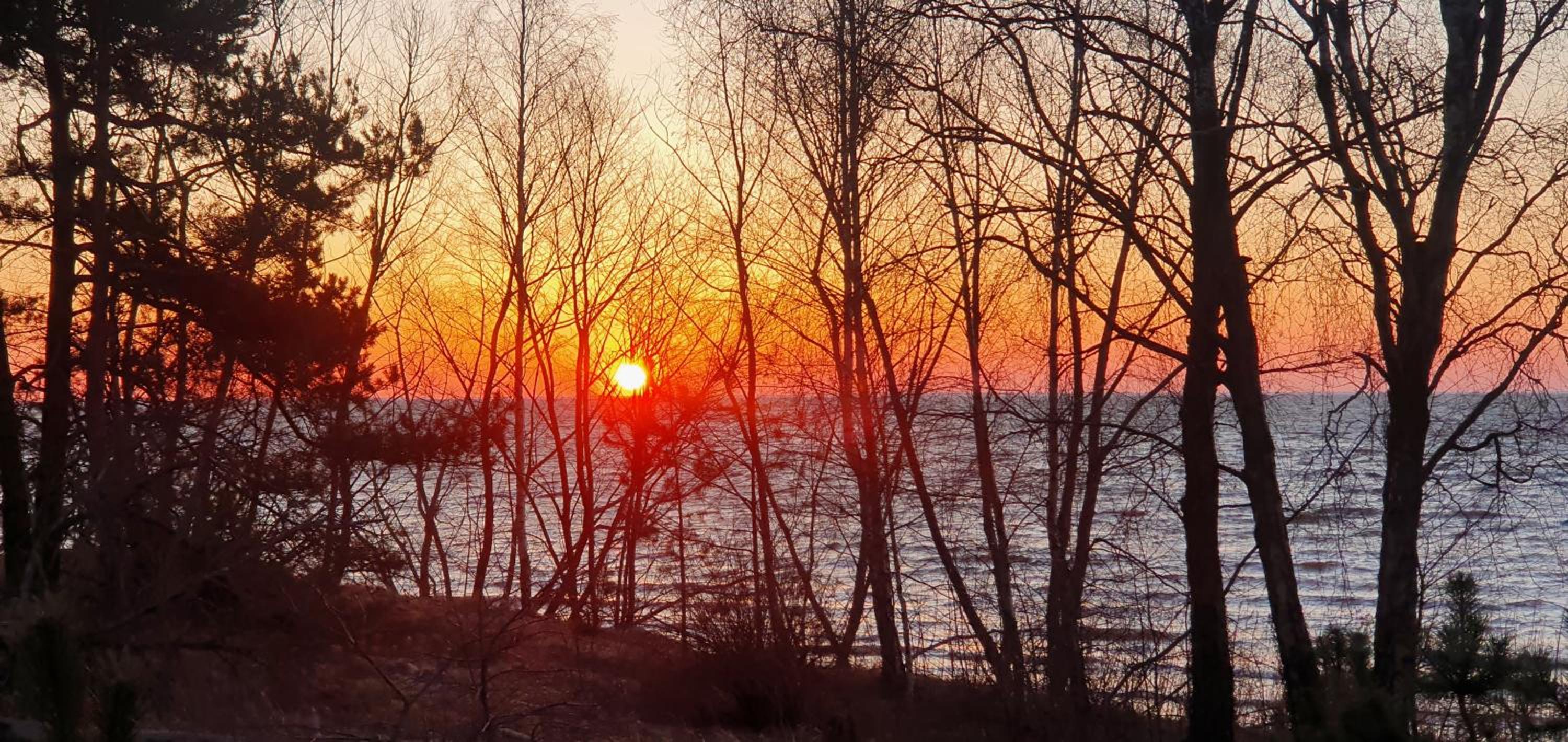 Apartamentas Plunksna