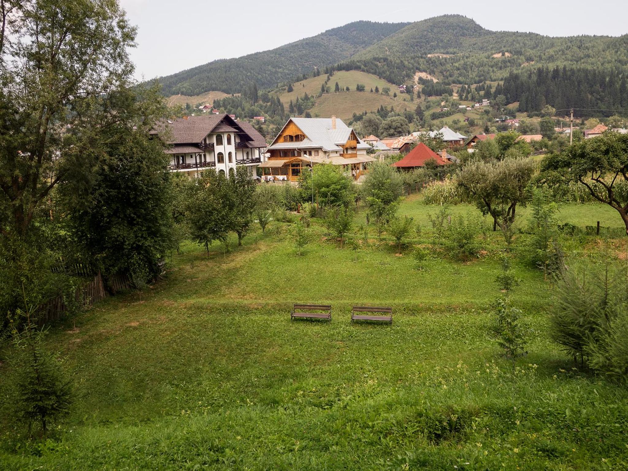 Photo 46