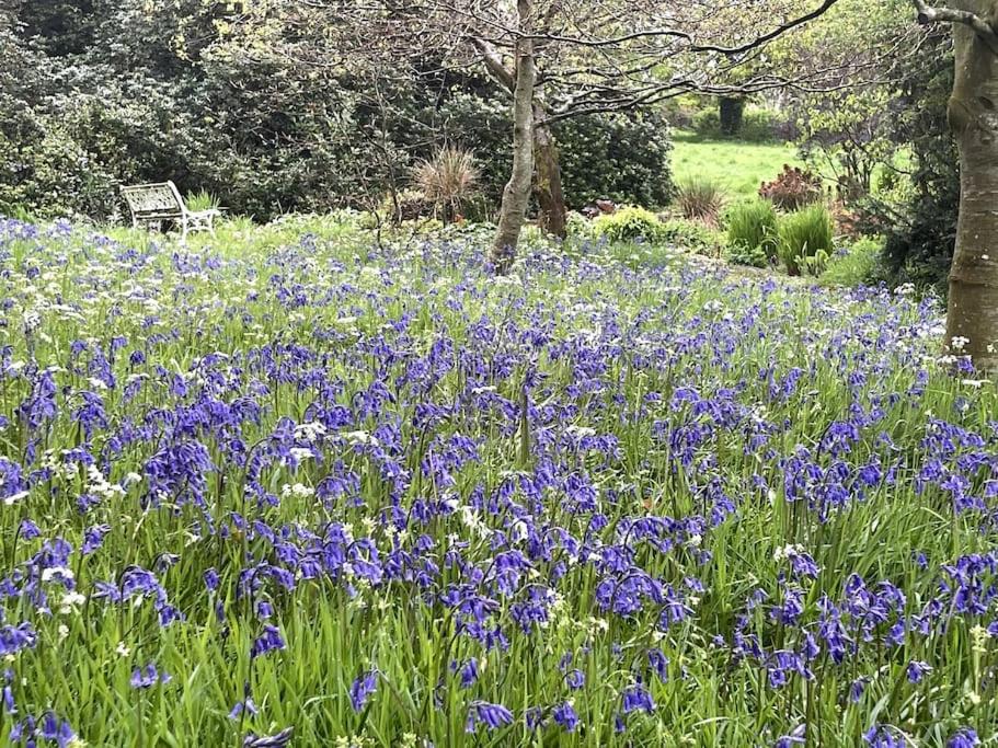Copper Cove at Lough Sillan House - Adults only