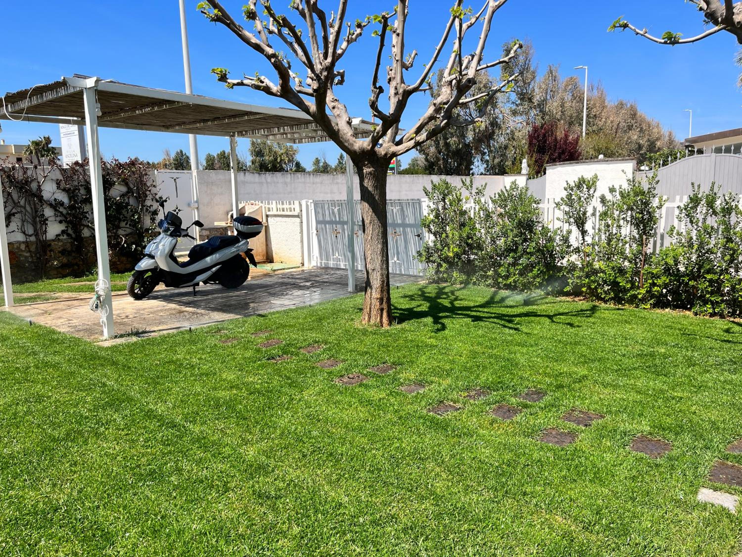 Photo 16