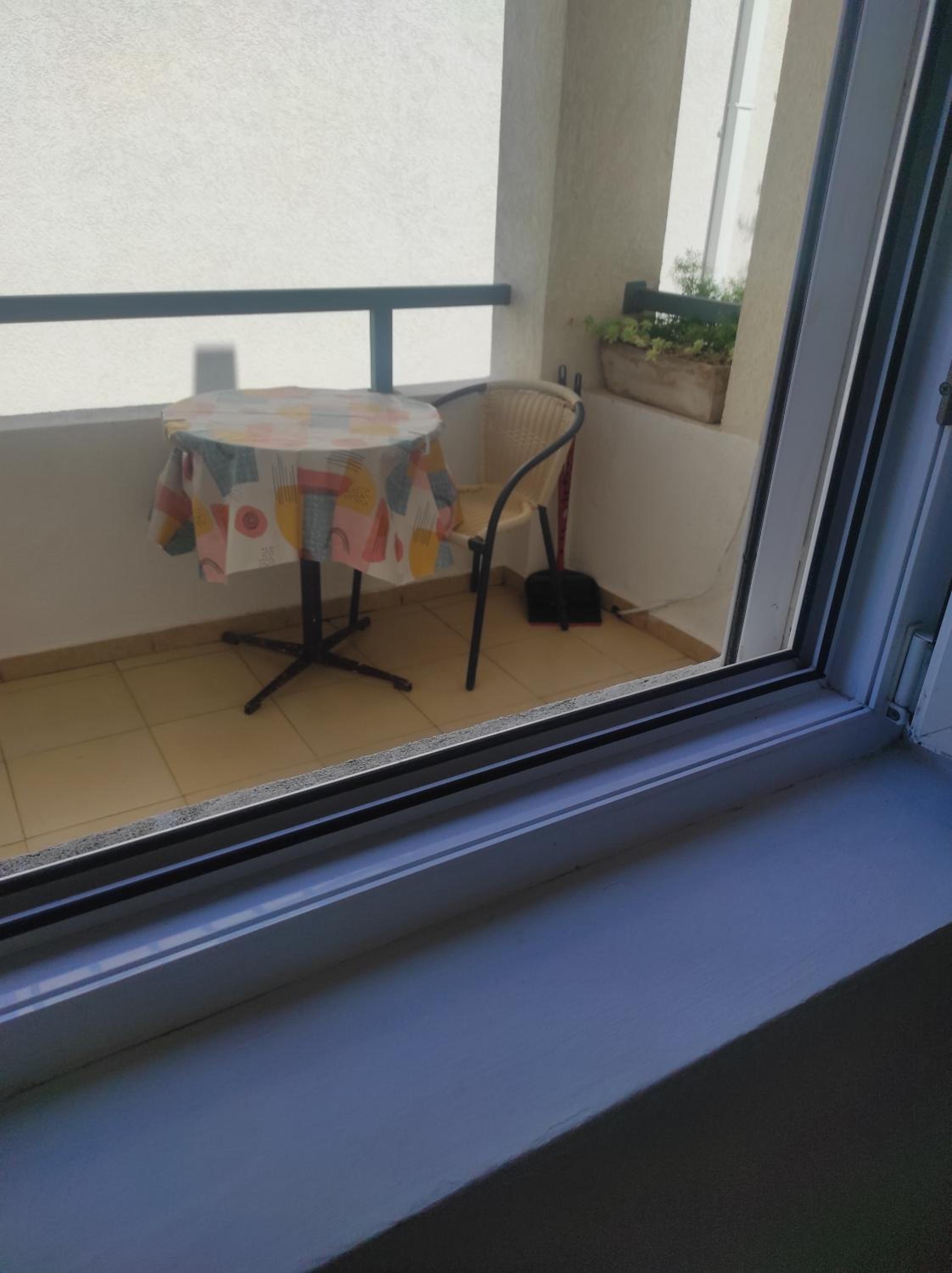 Photo 31