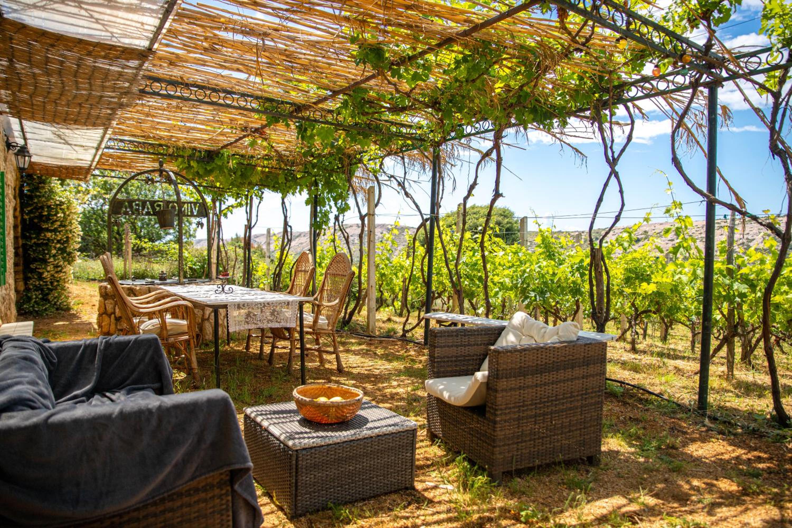 Private Vineyard House