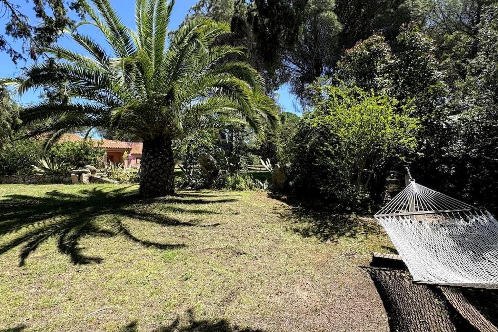 Villa Fronte Mare Immersa Nella Natura view 4