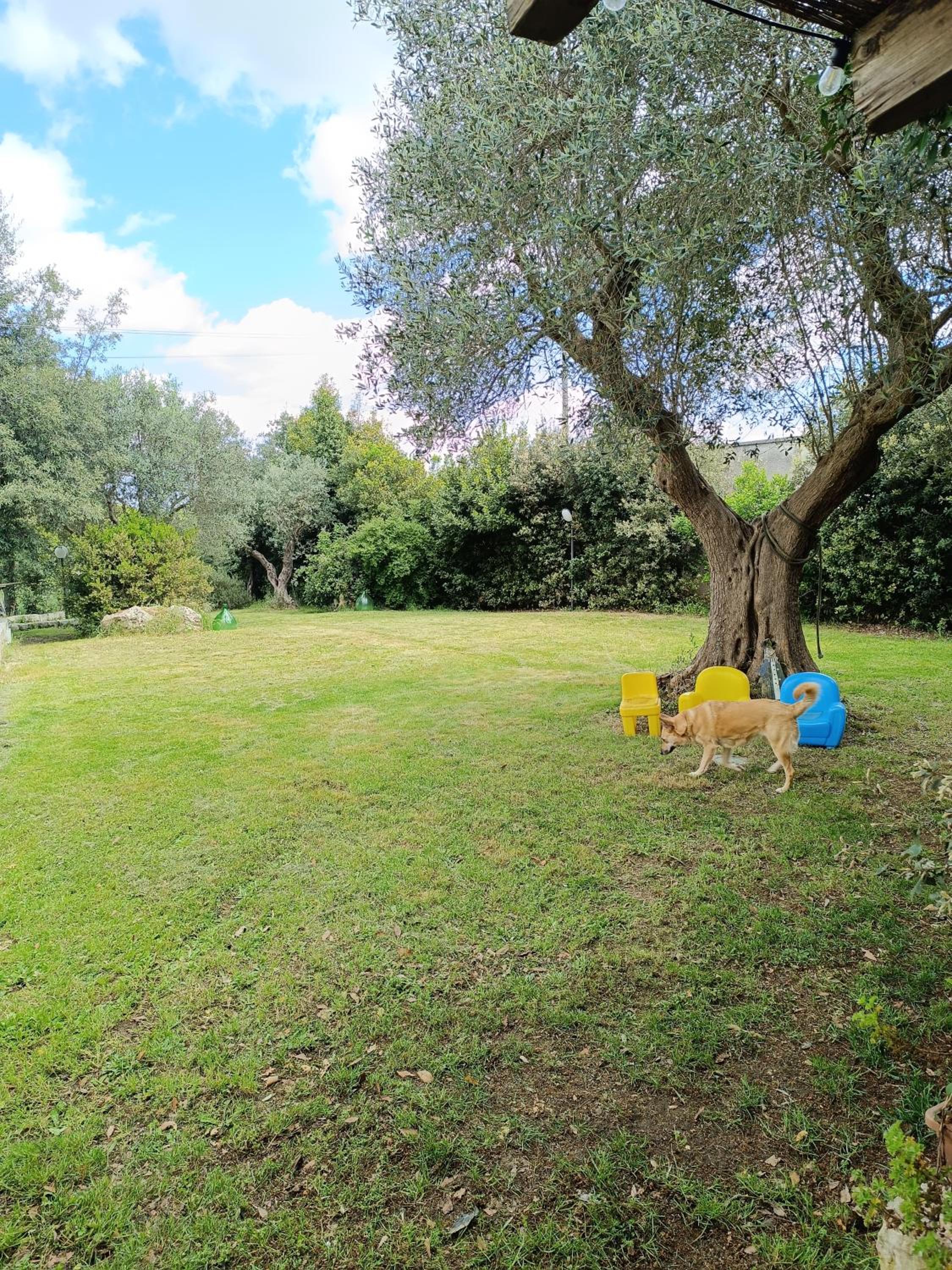 Photo 37