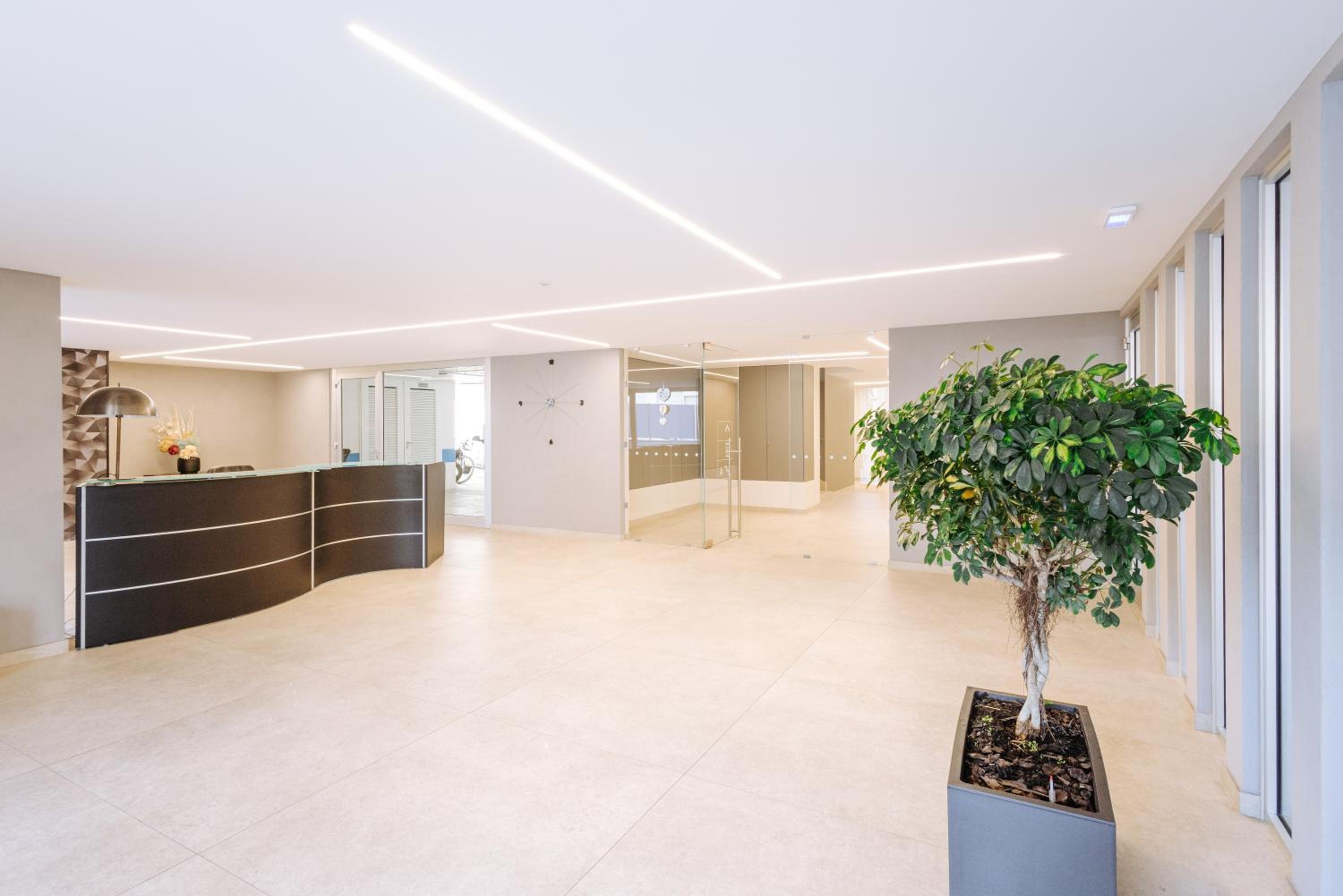recepcion & lobby