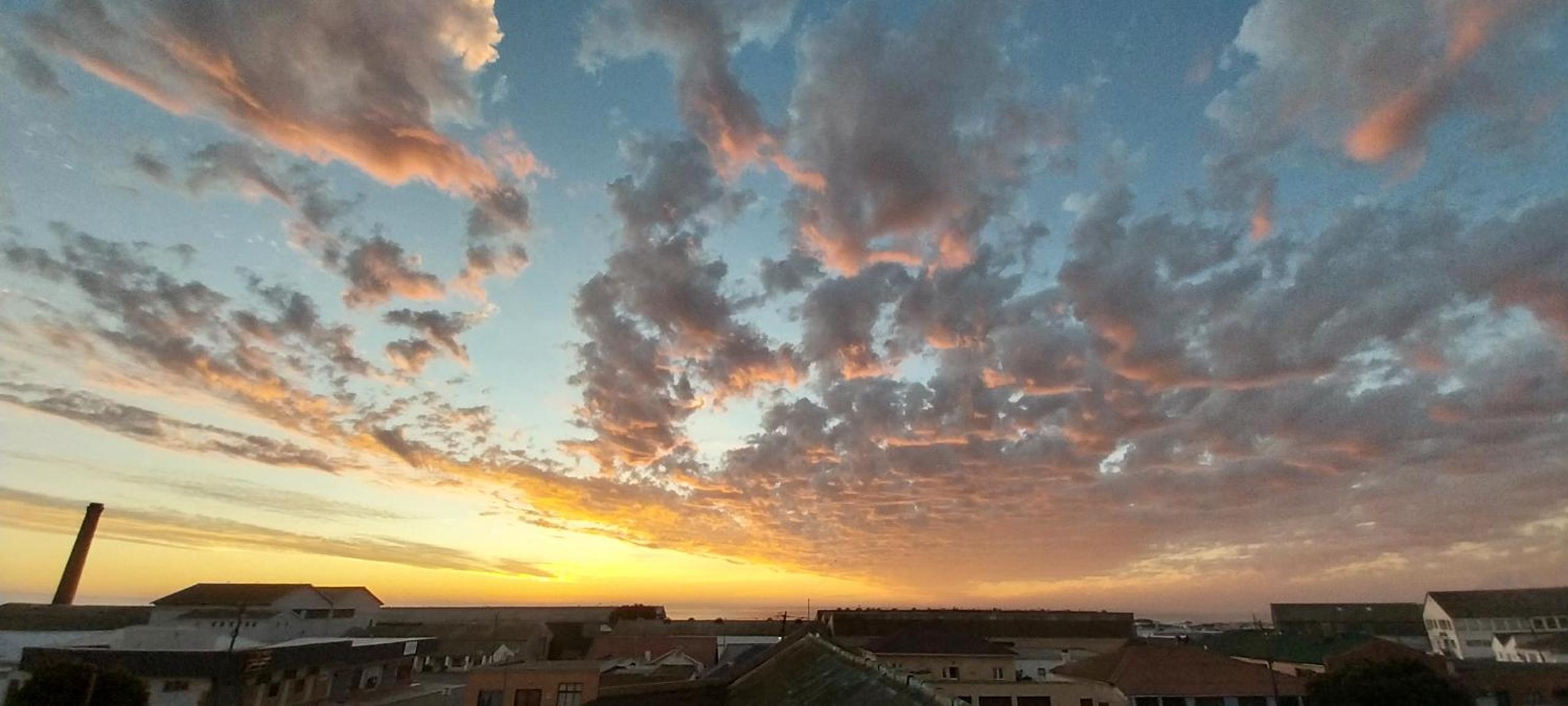 Bokkomblommetjie view 4