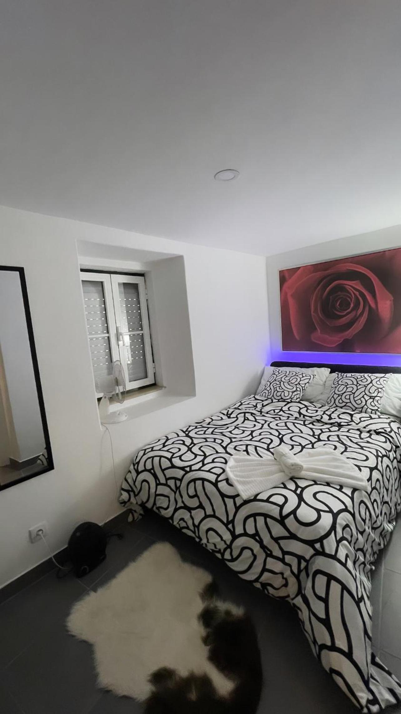 Apartment or family room view 5
