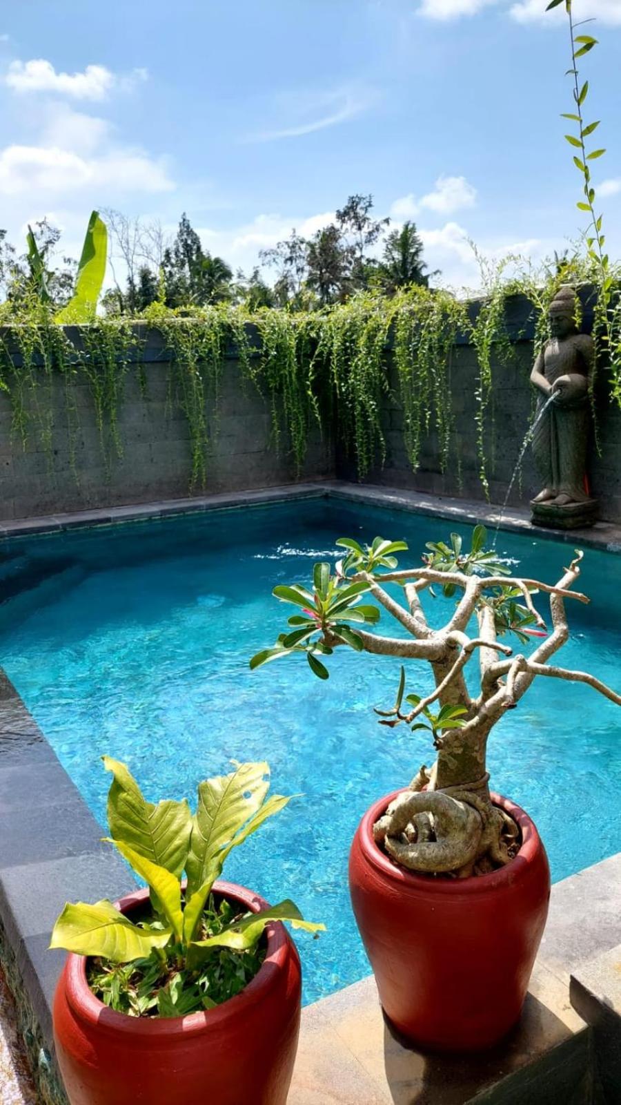 Villa MB Ubud