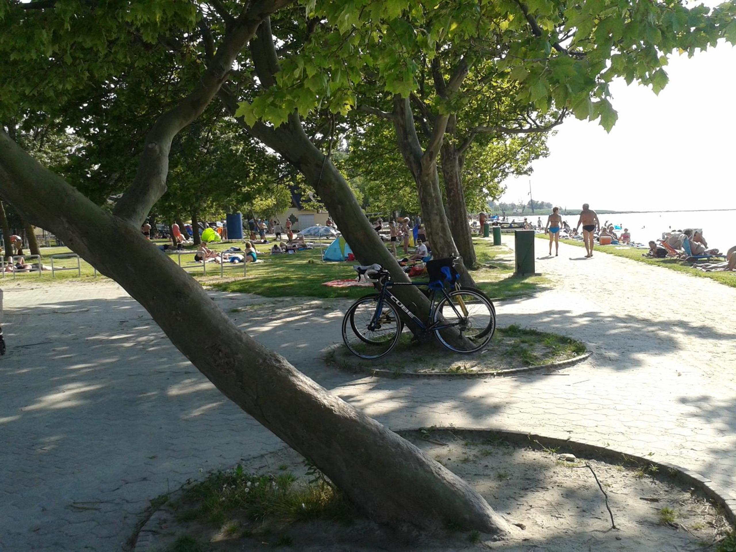 Photo 23