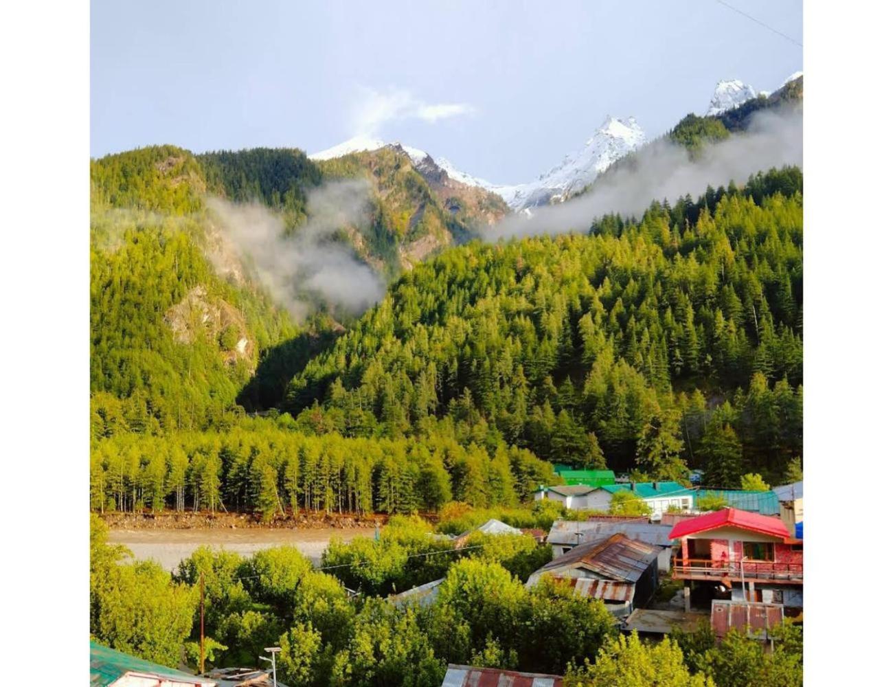 Harsil apple homestay, Harsil view 5