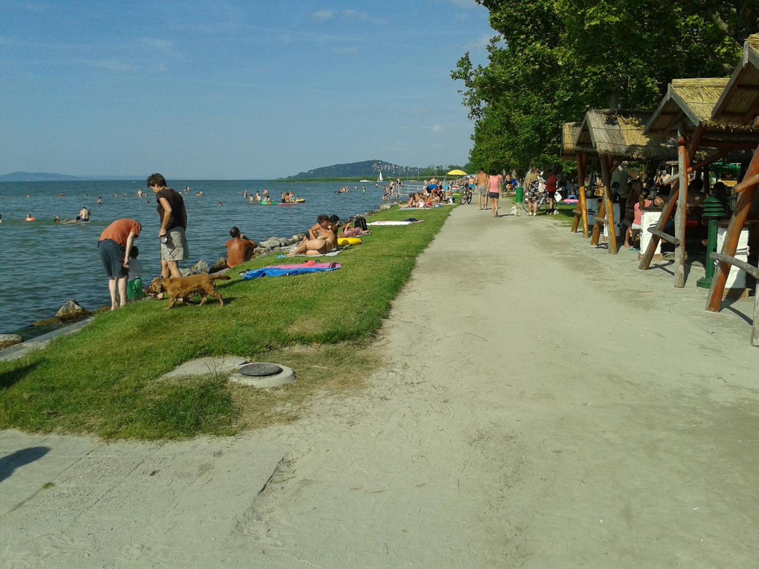 Photo 22