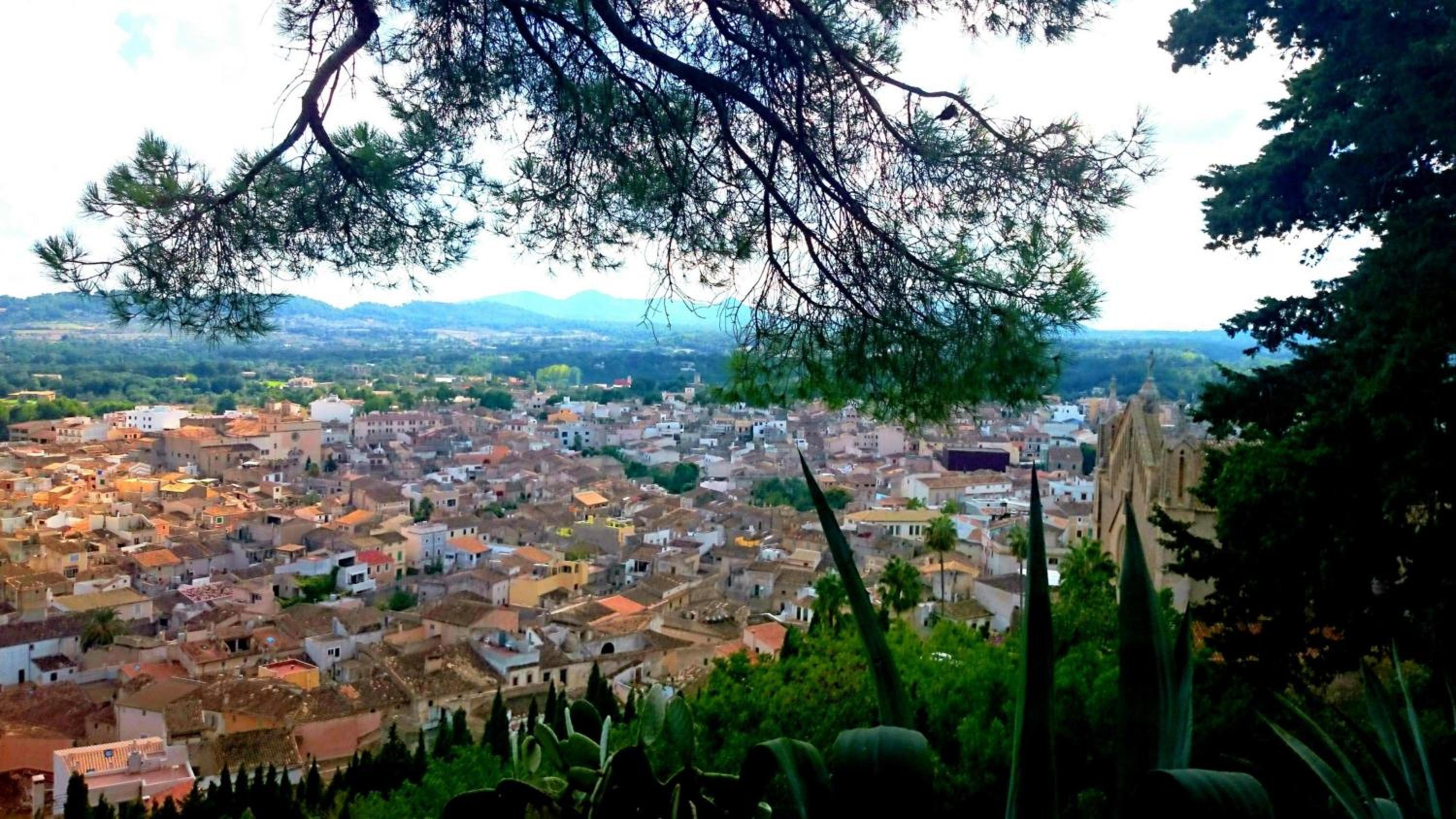 Sa Corbaia Nova