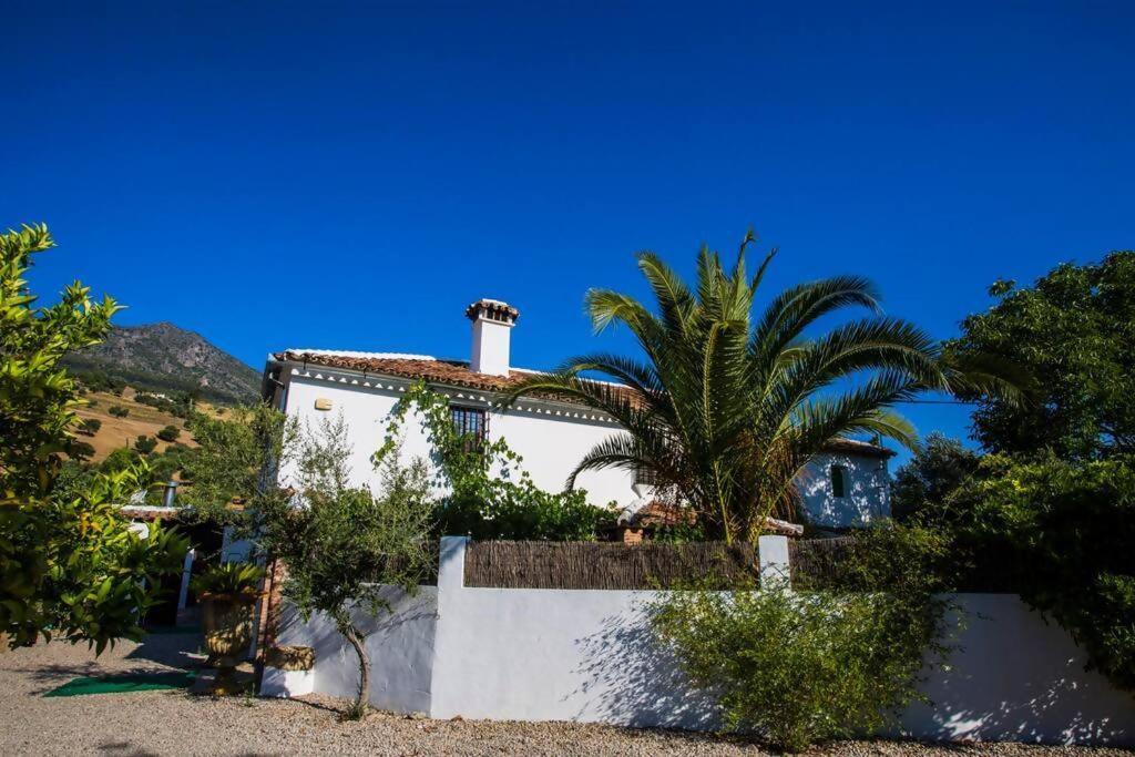 Cortijo, Grazalema, piscina, 5 Hbts con baño, AC, view 5
