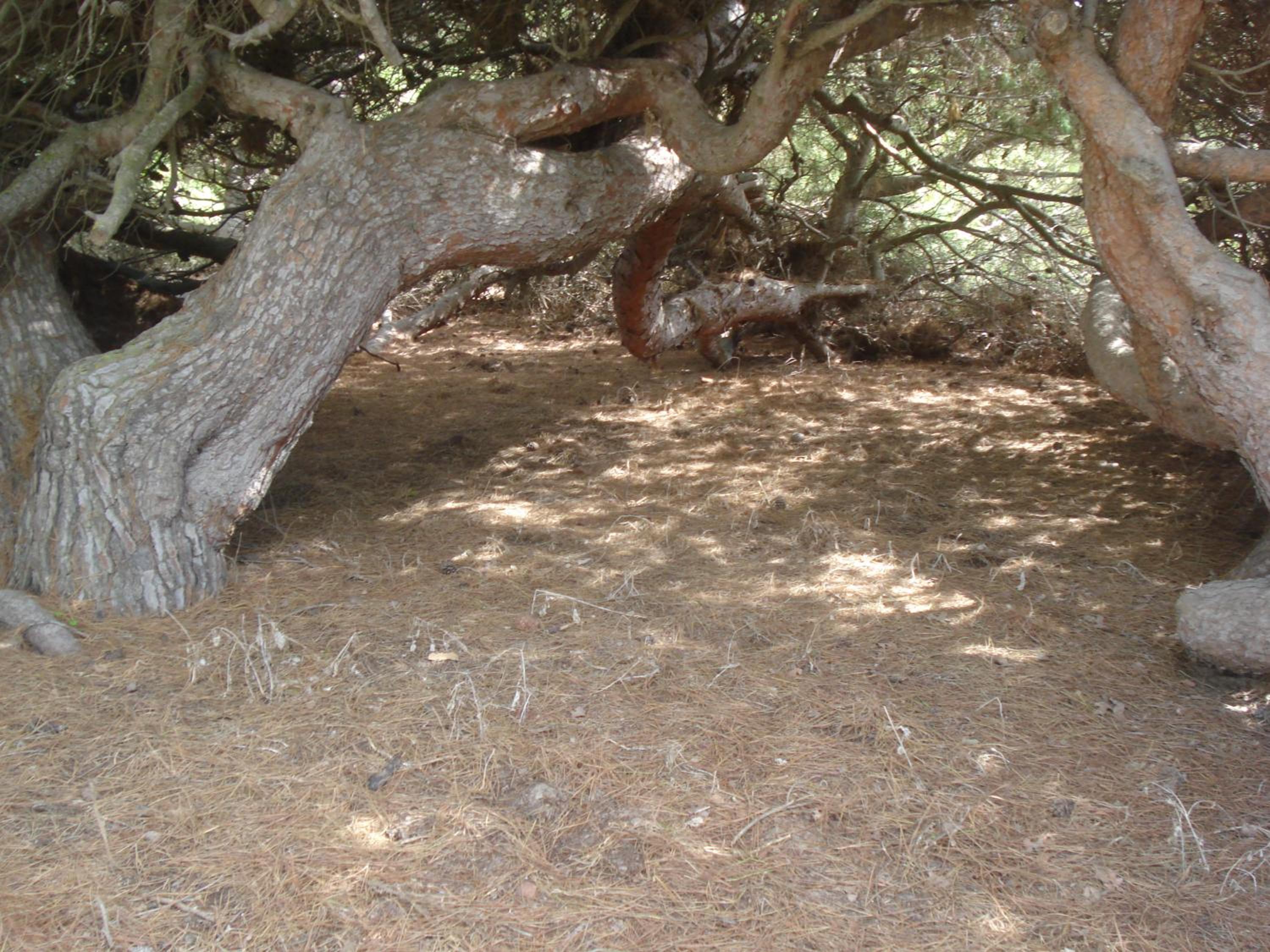 Photo 37