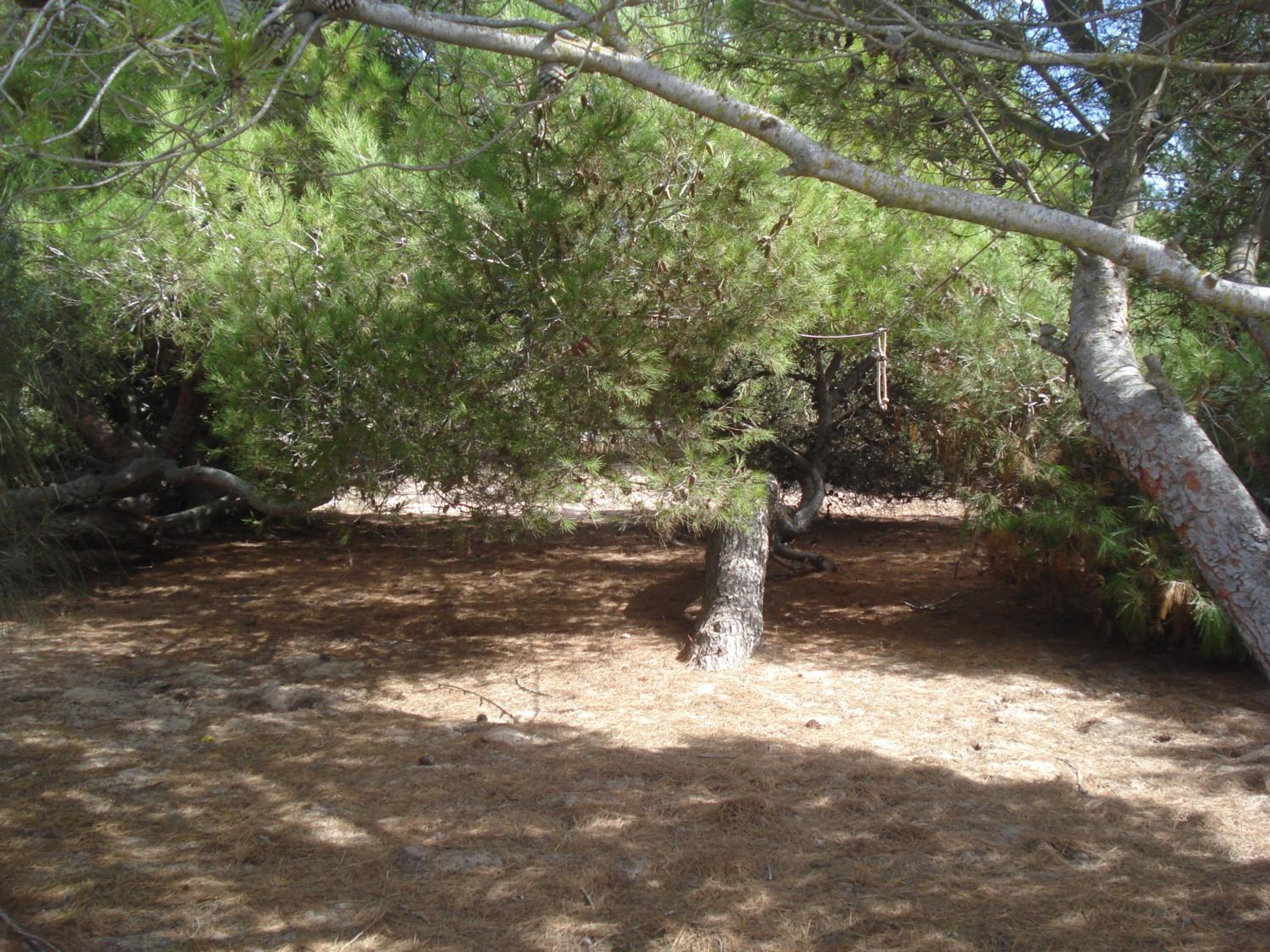 Photo 38