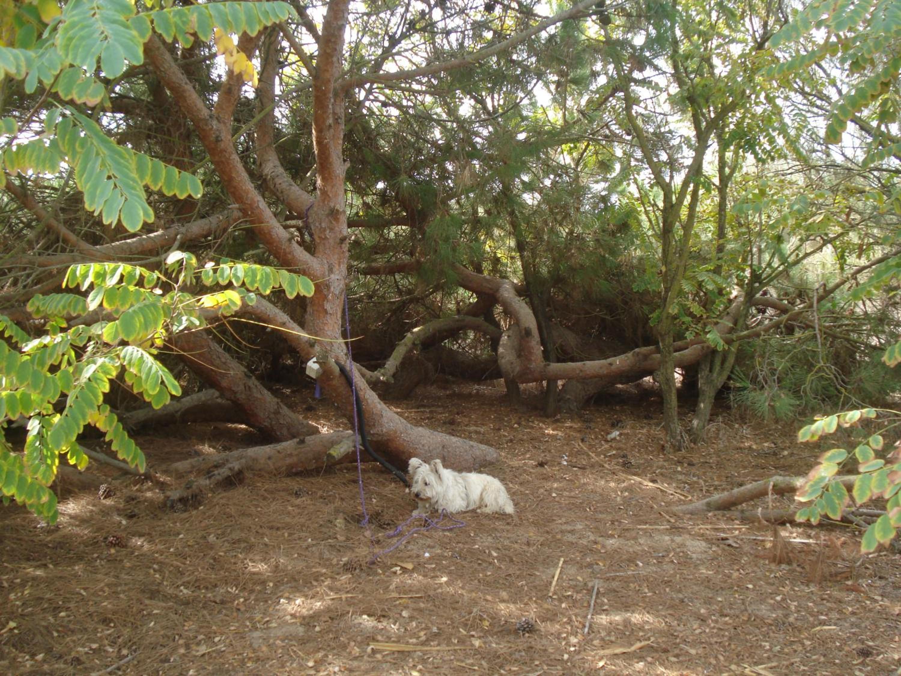 Photo 39