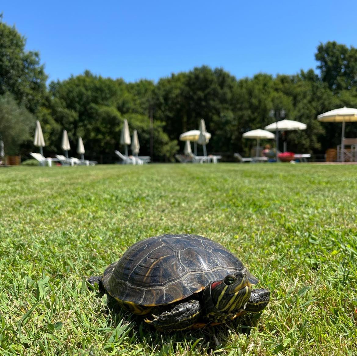 Sibolla Holidays