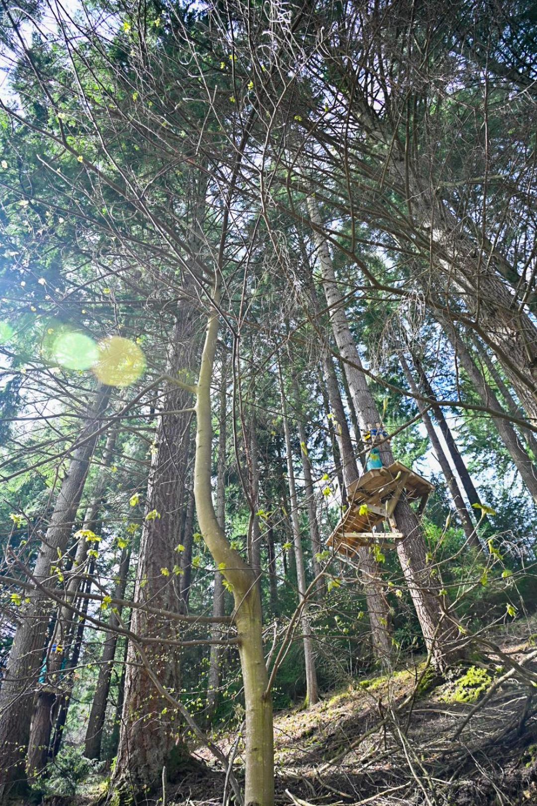 Pitlochry Youth Hostel